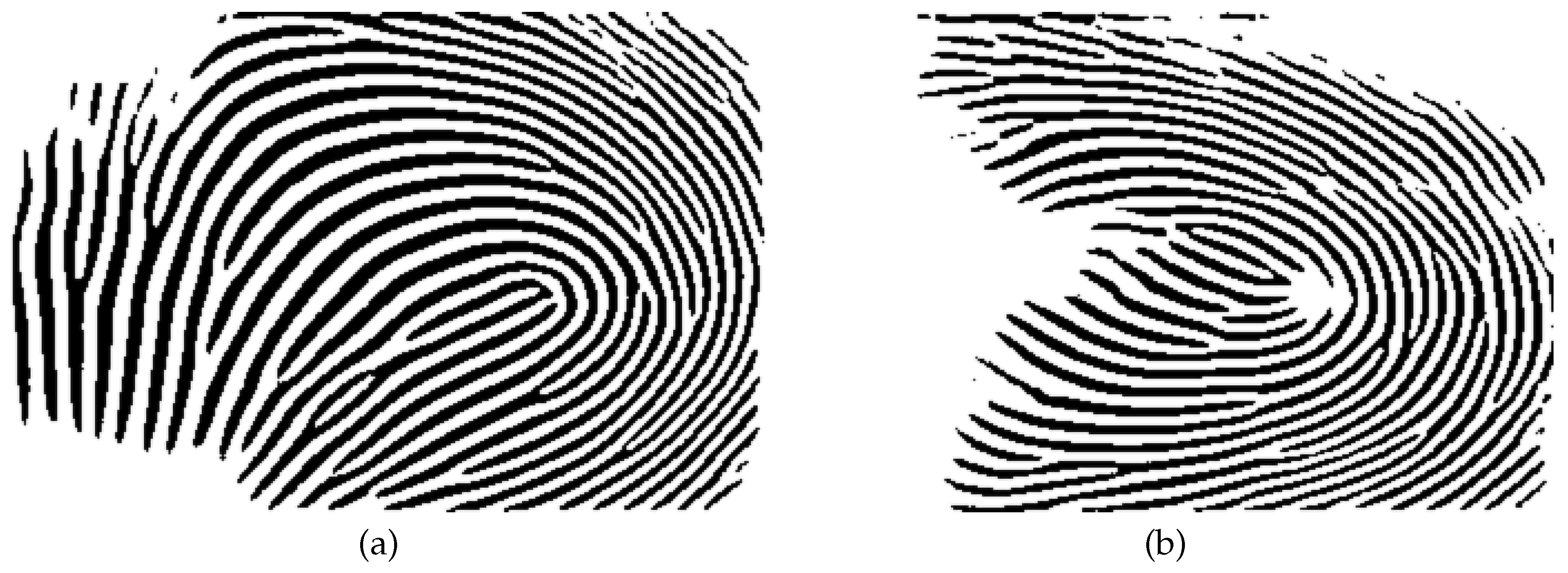 Preprints 145660 g006