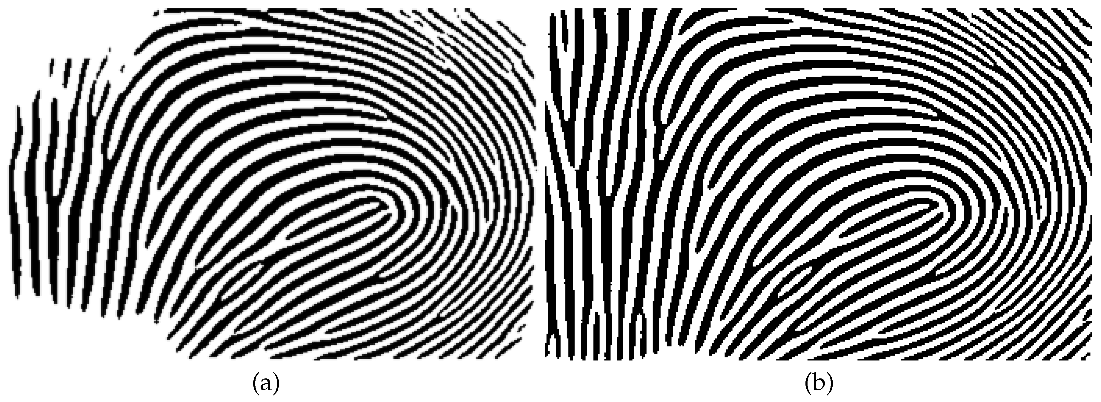 Preprints 145660 g010