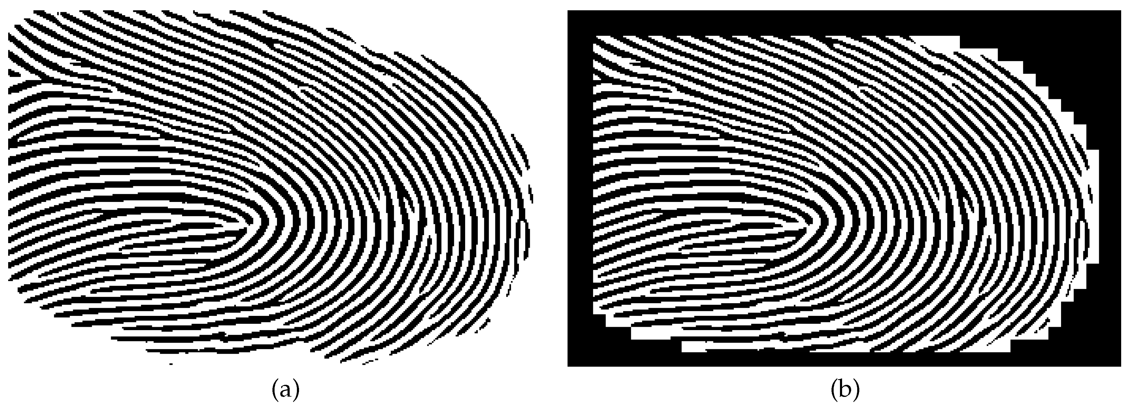 Preprints 145660 g012