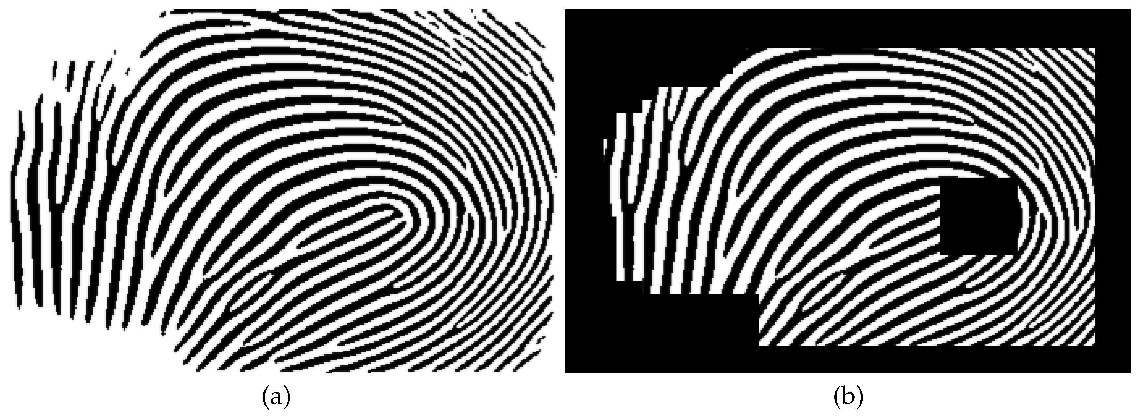 Preprints 145660 g016