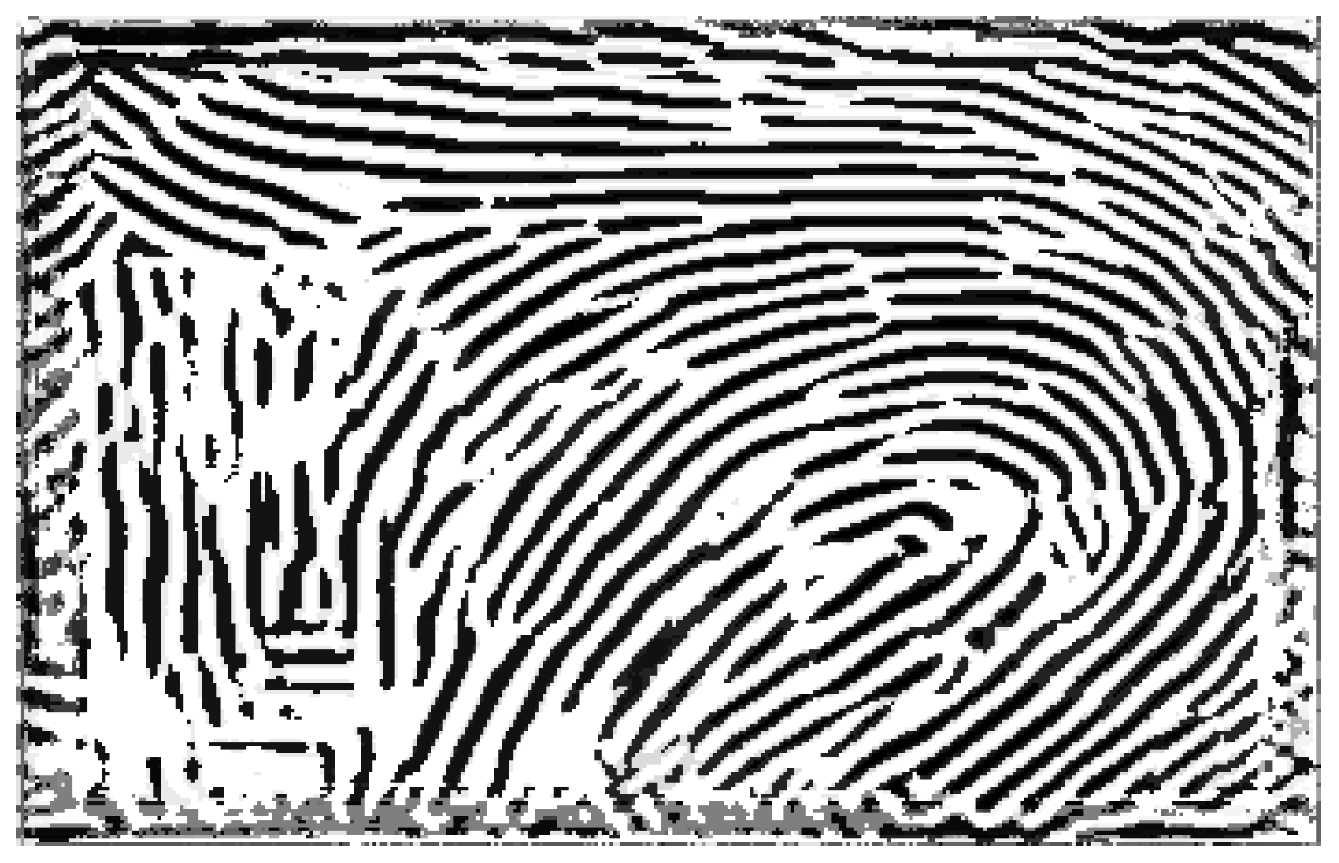 Preprints 145660 g017