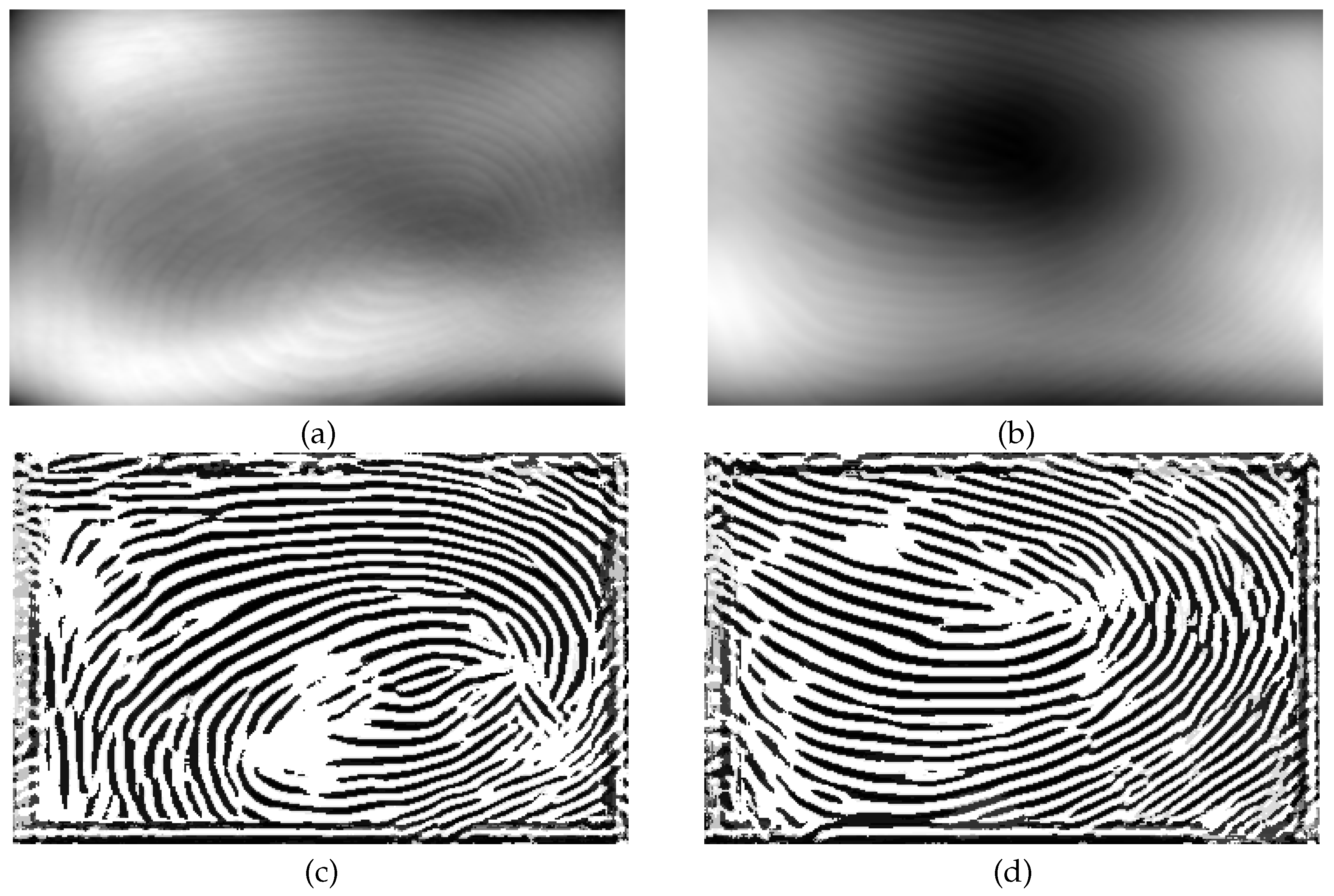 Preprints 145660 g018