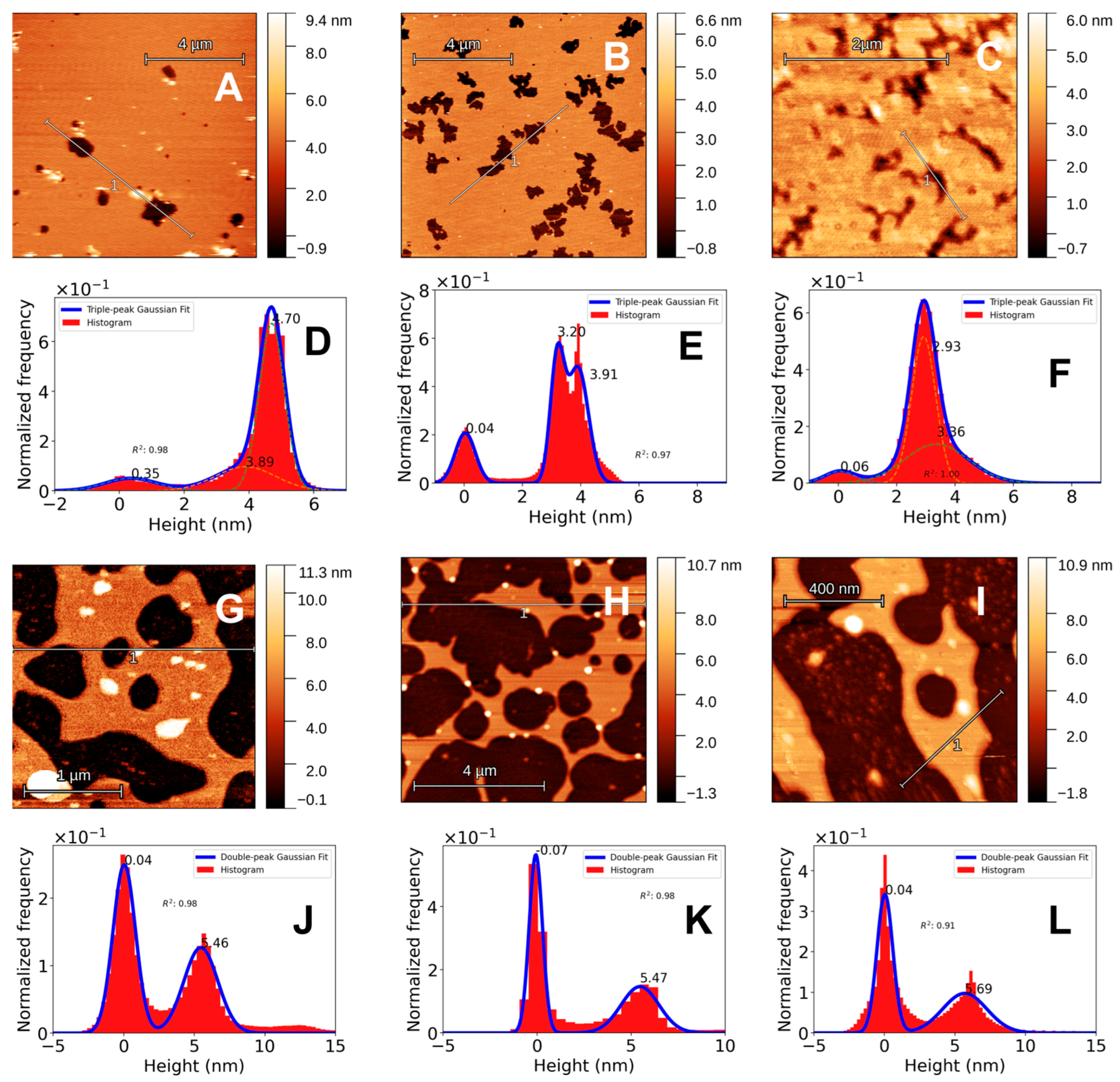 Preprints 183755 g001