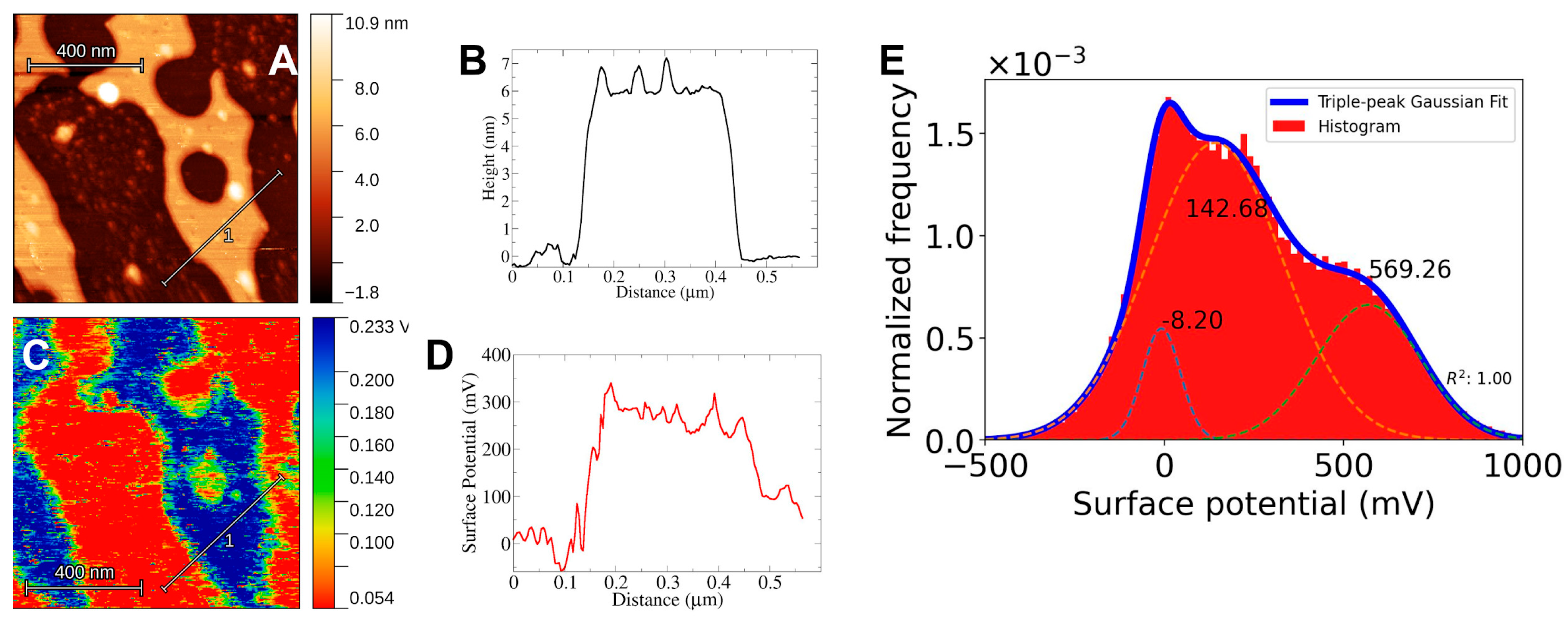 Preprints 183755 g004