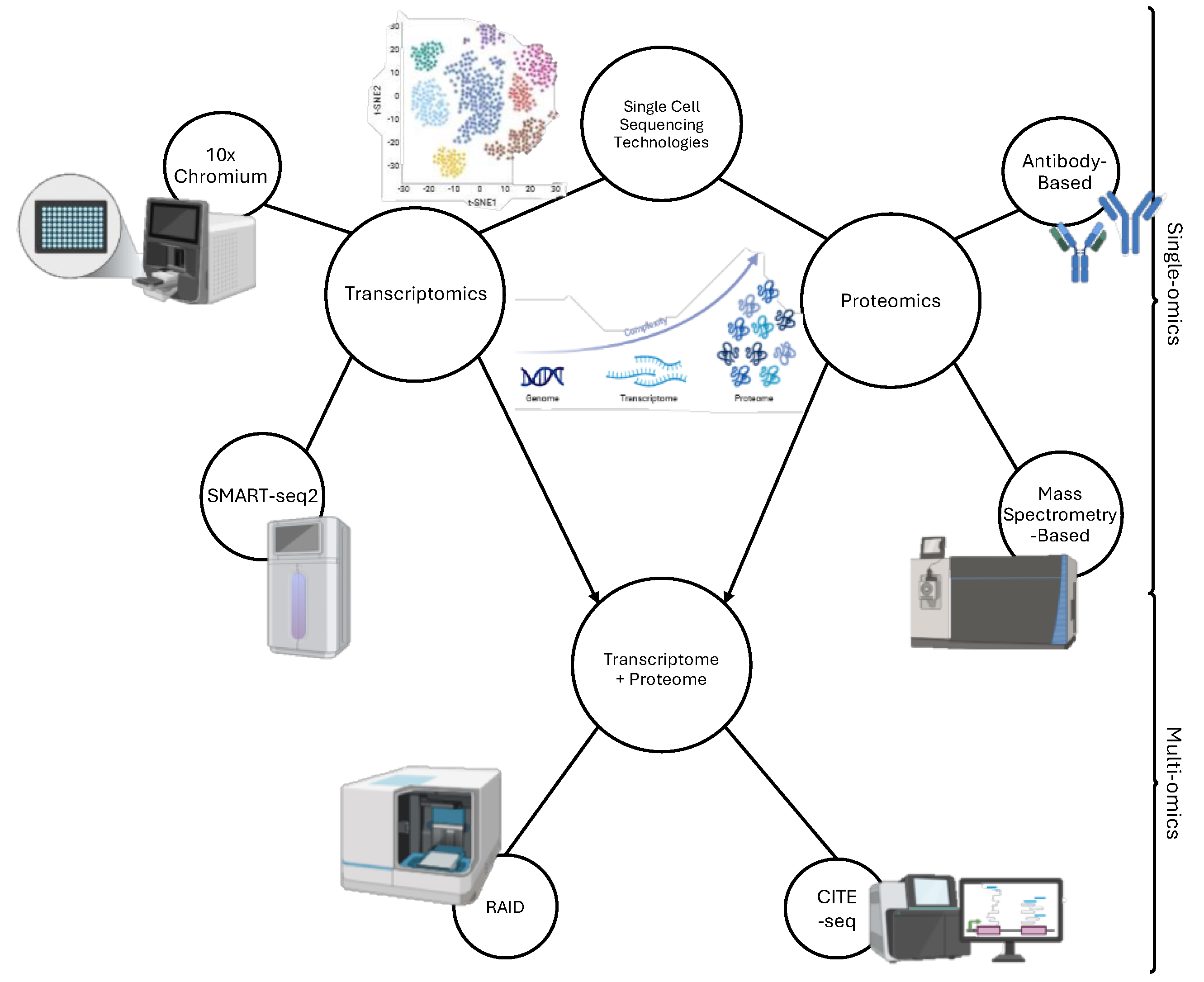 Preprints 146060 g001