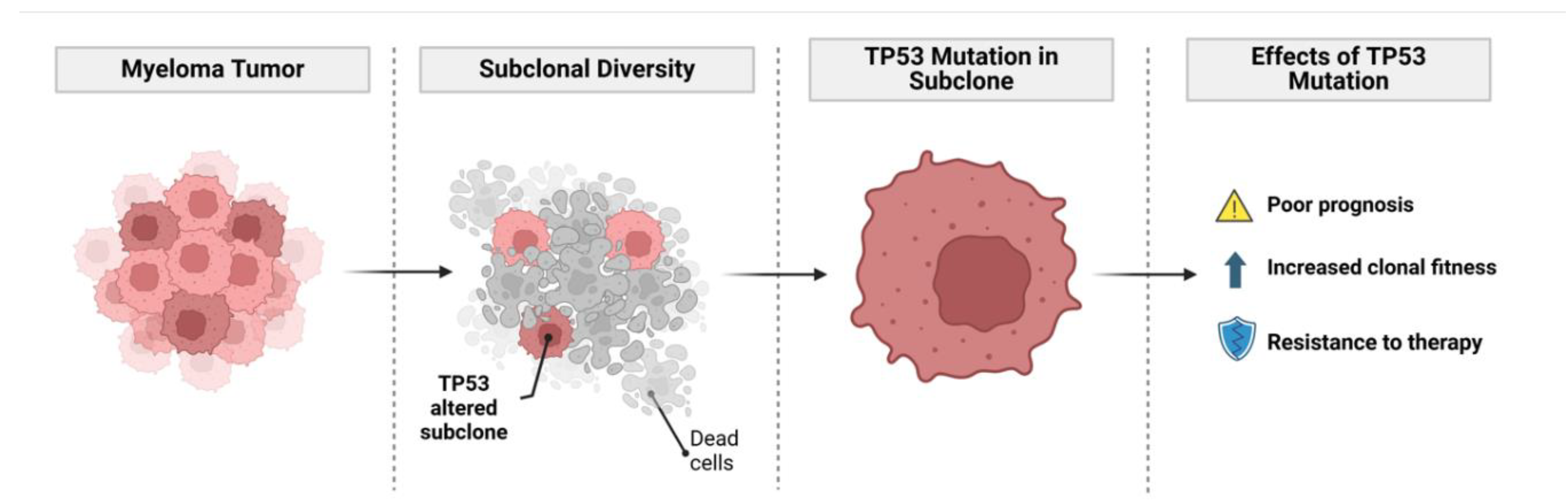 Preprints 146060 g002