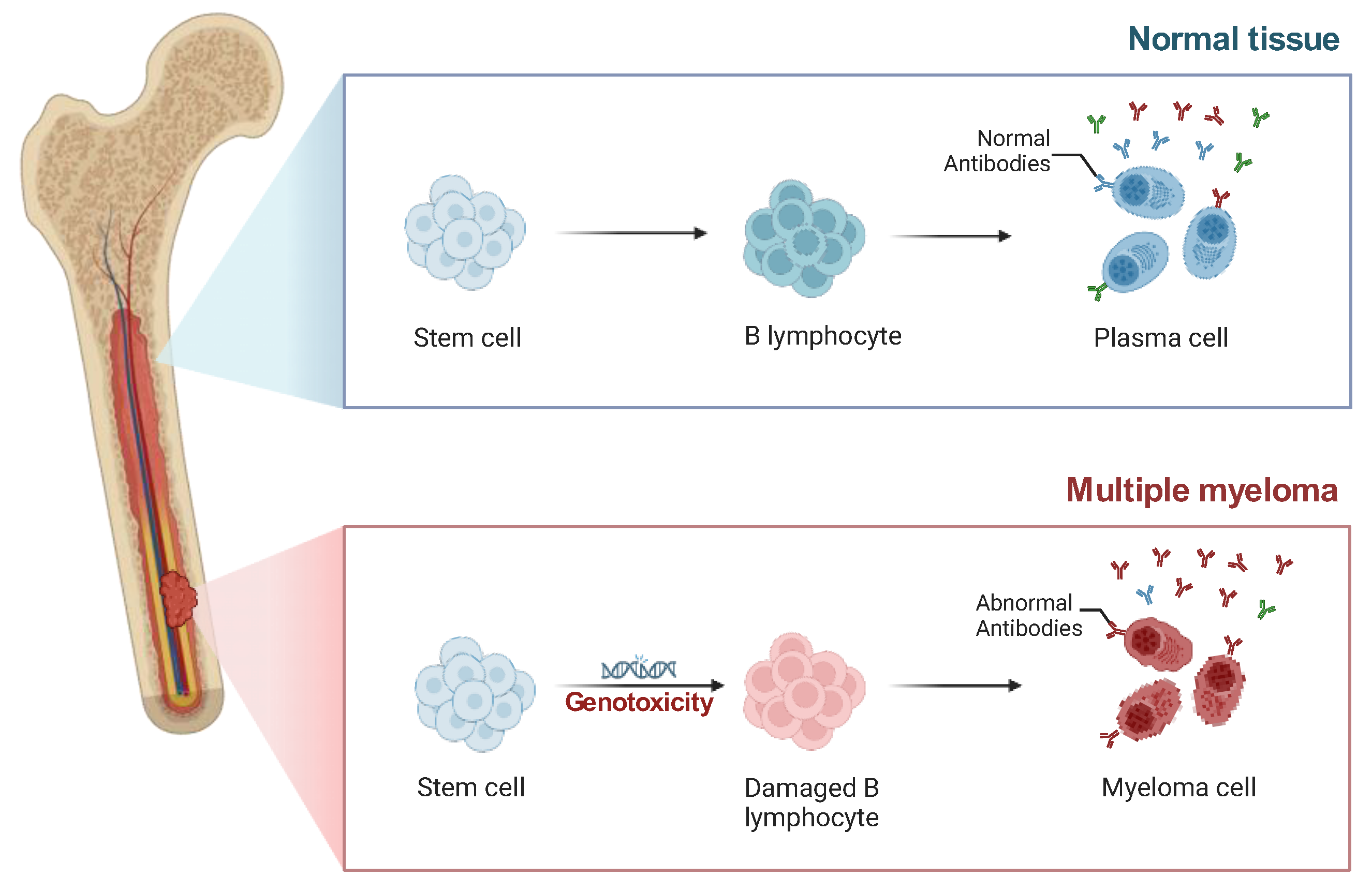 Preprints 146060 g003
