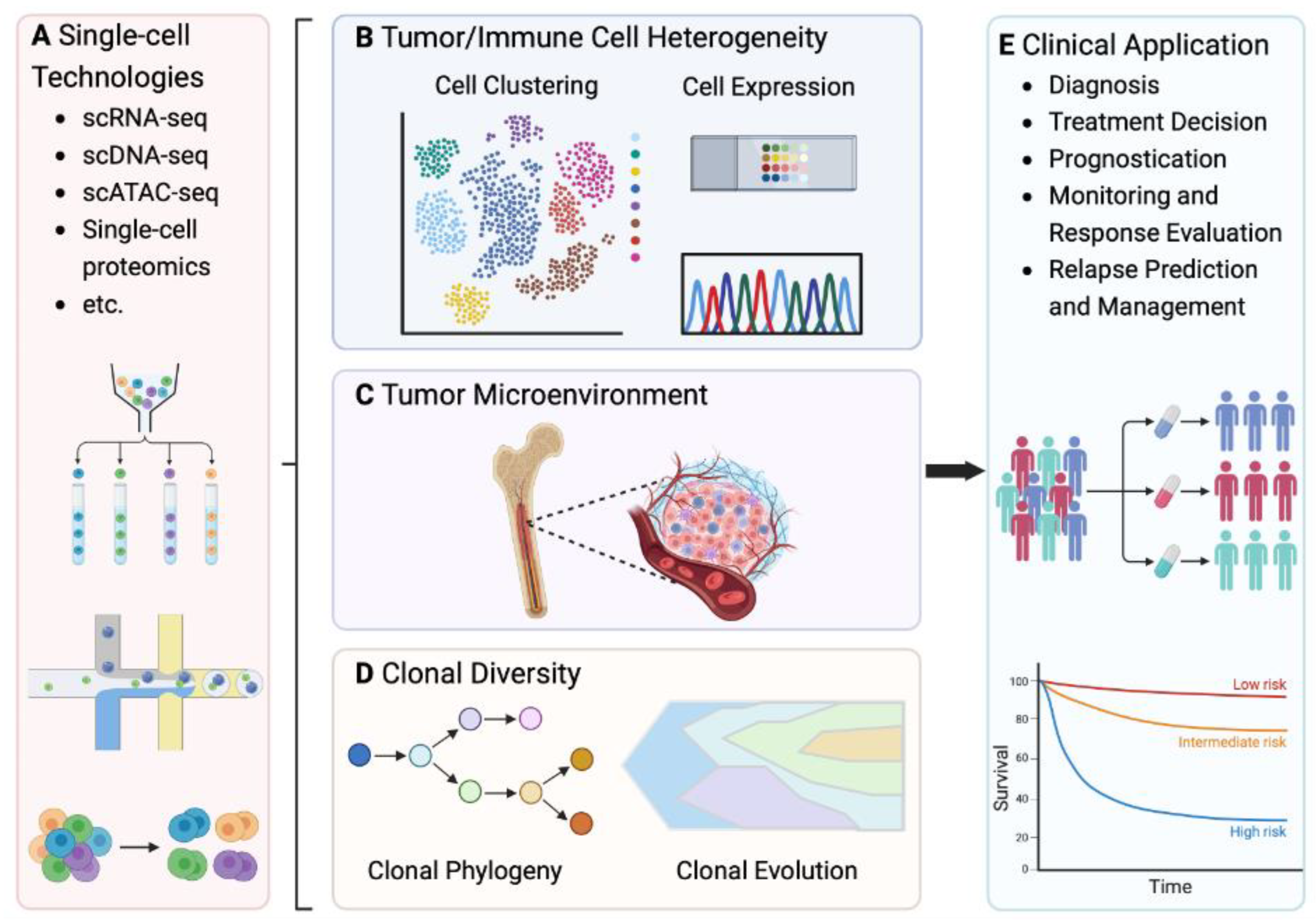 Preprints 146060 g006