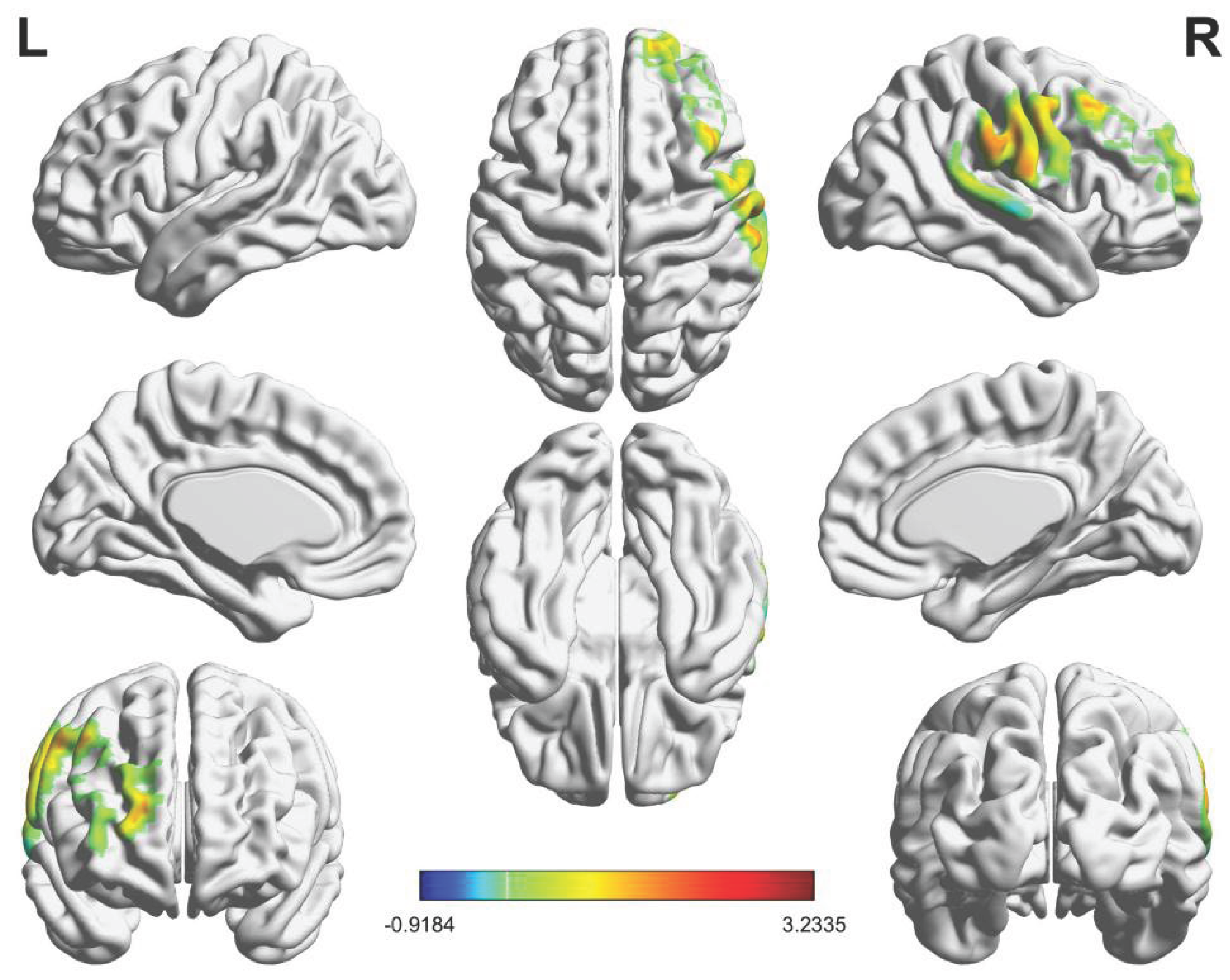 Preprints 182286 g004