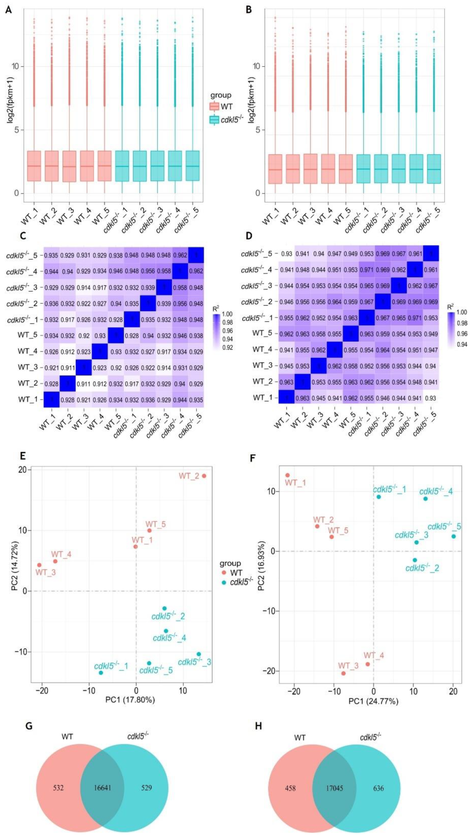 Preprints 158825 g001