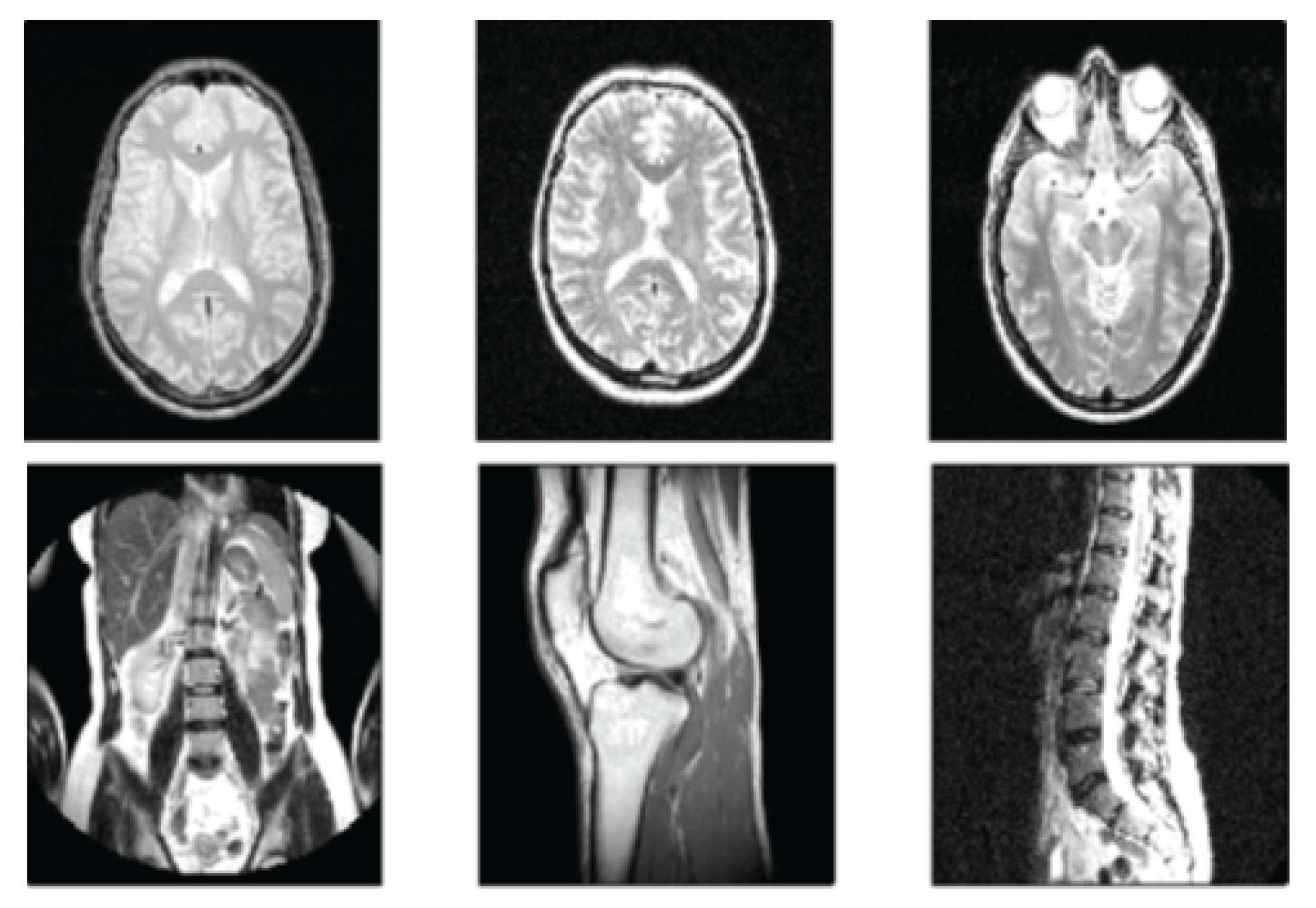 Preprints 144171 g003