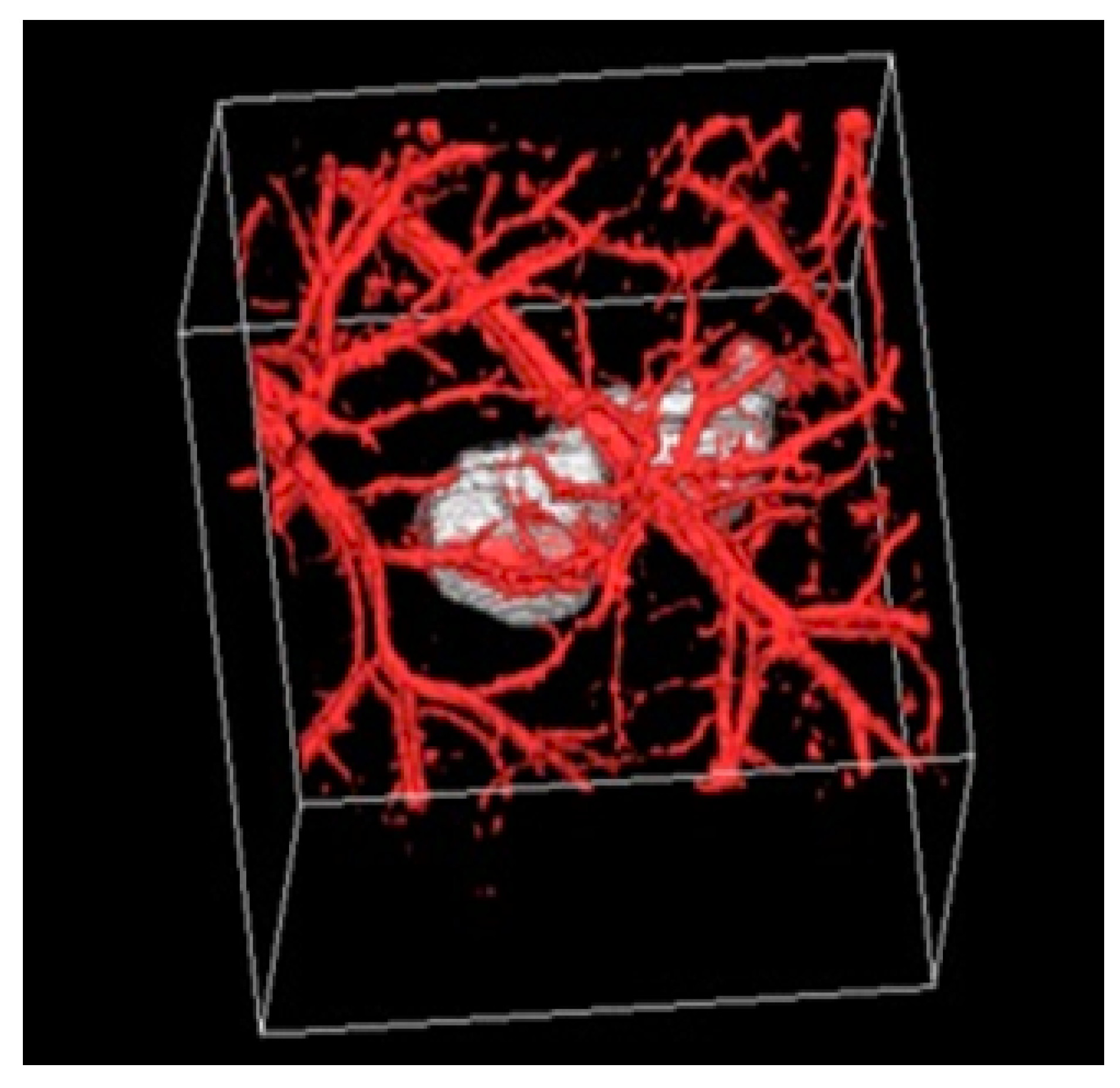 Preprints 144171 g005