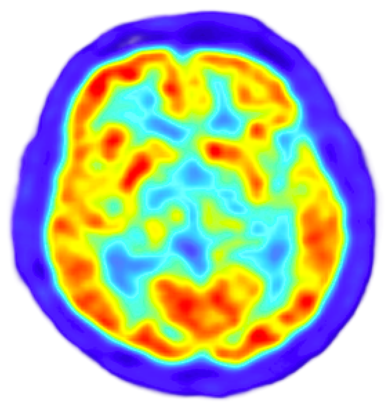 Preprints 144171 g006