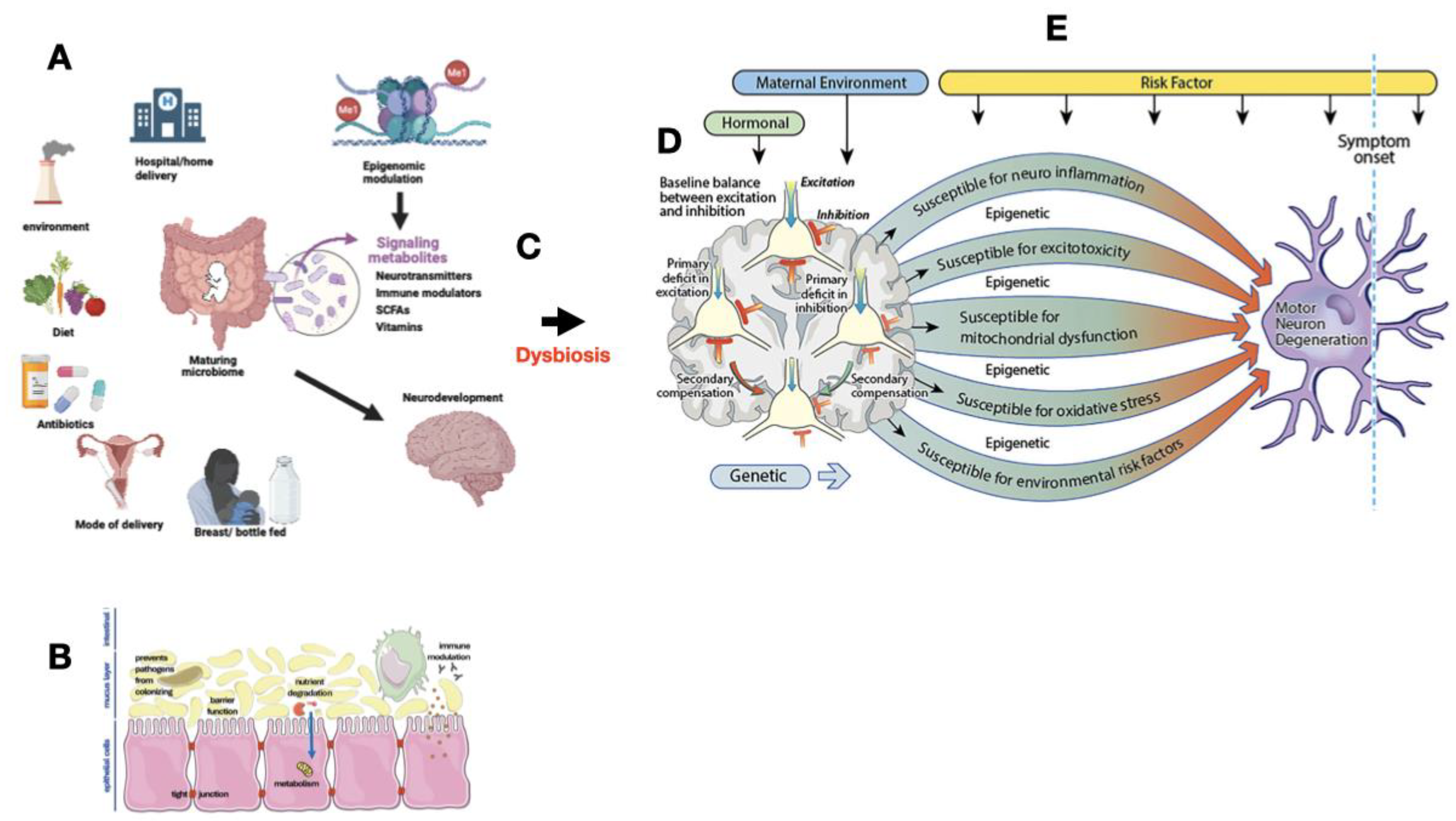 Preprints 146095 g001
