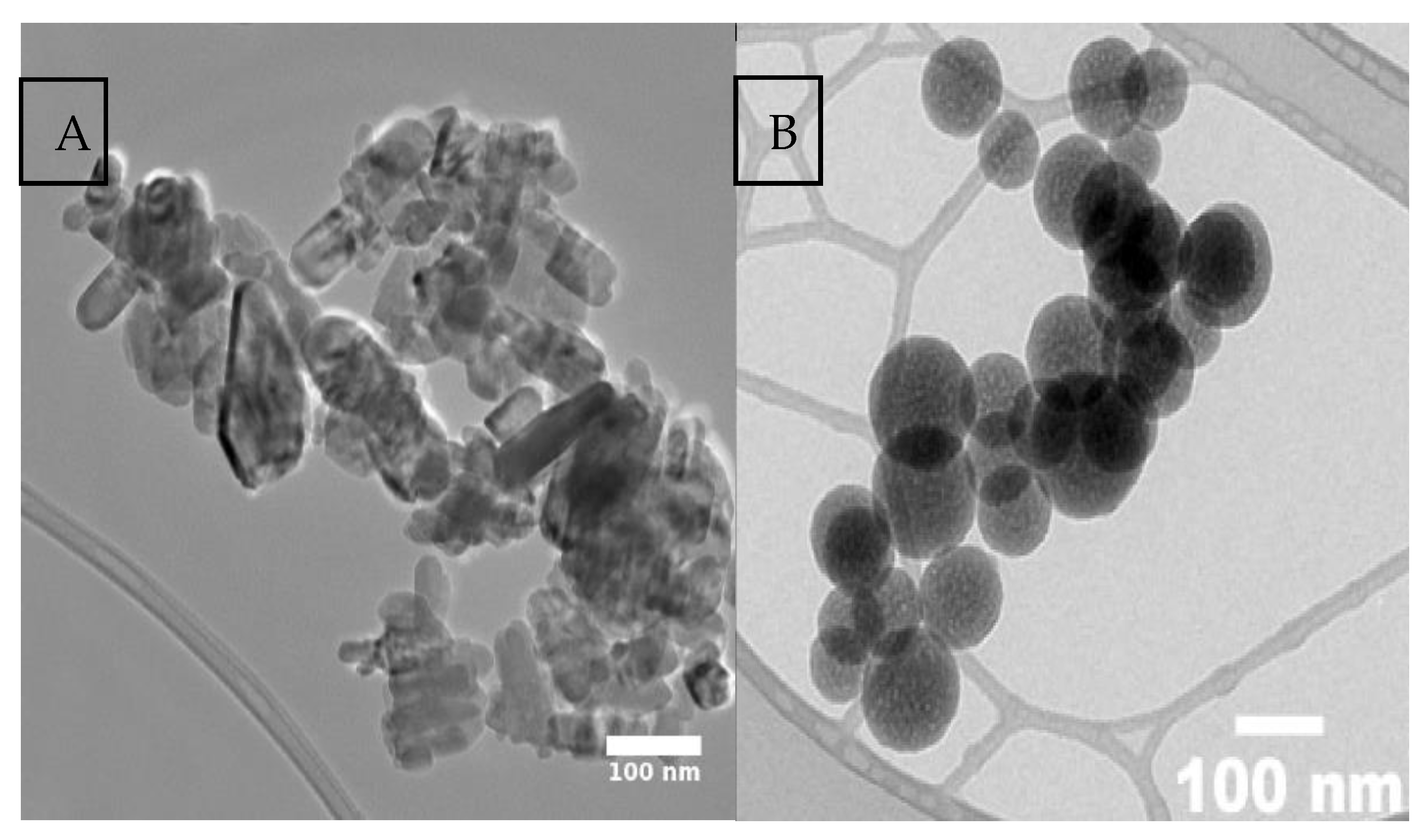 Preprints 173407 g001