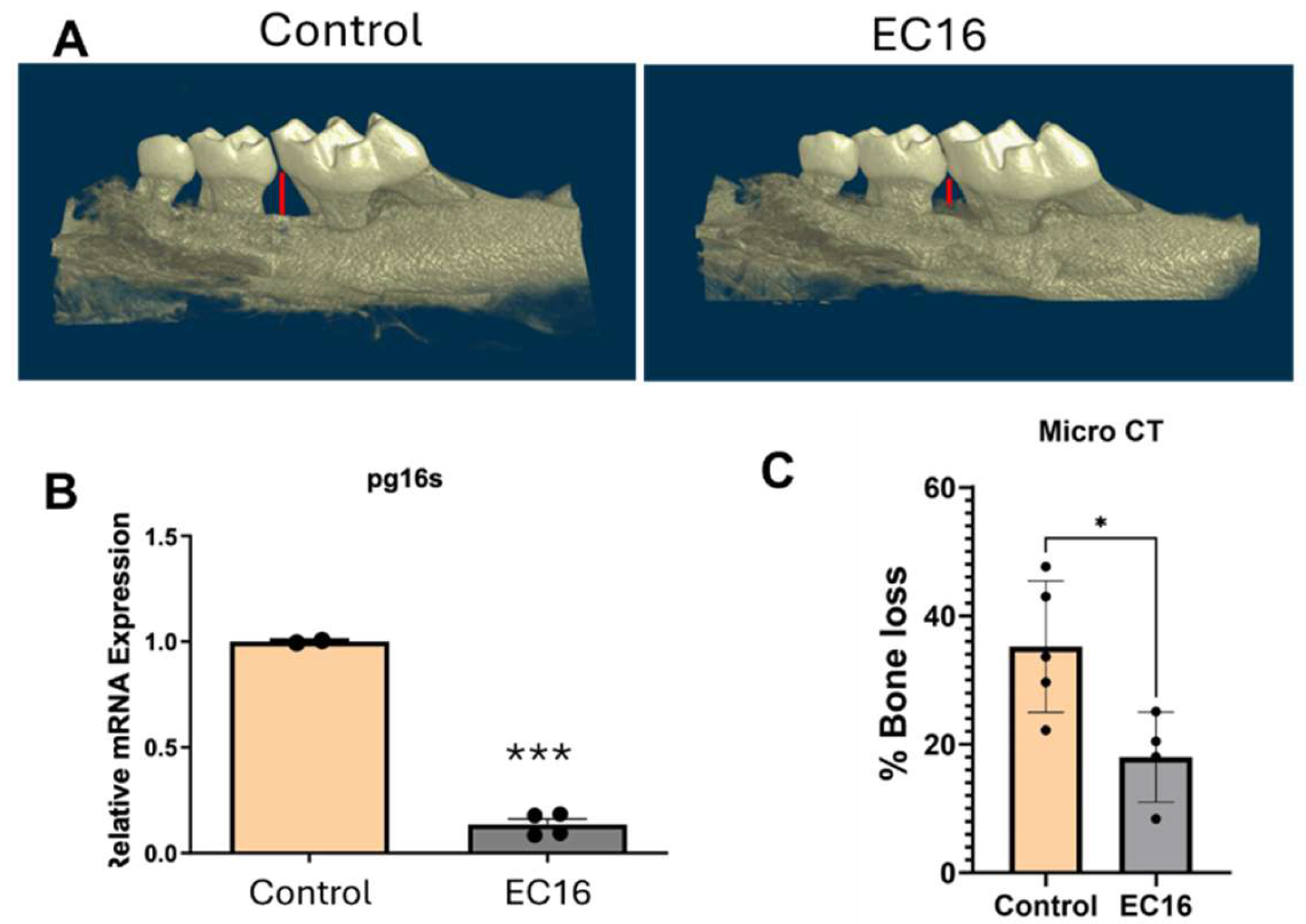 Preprints 205887 g003