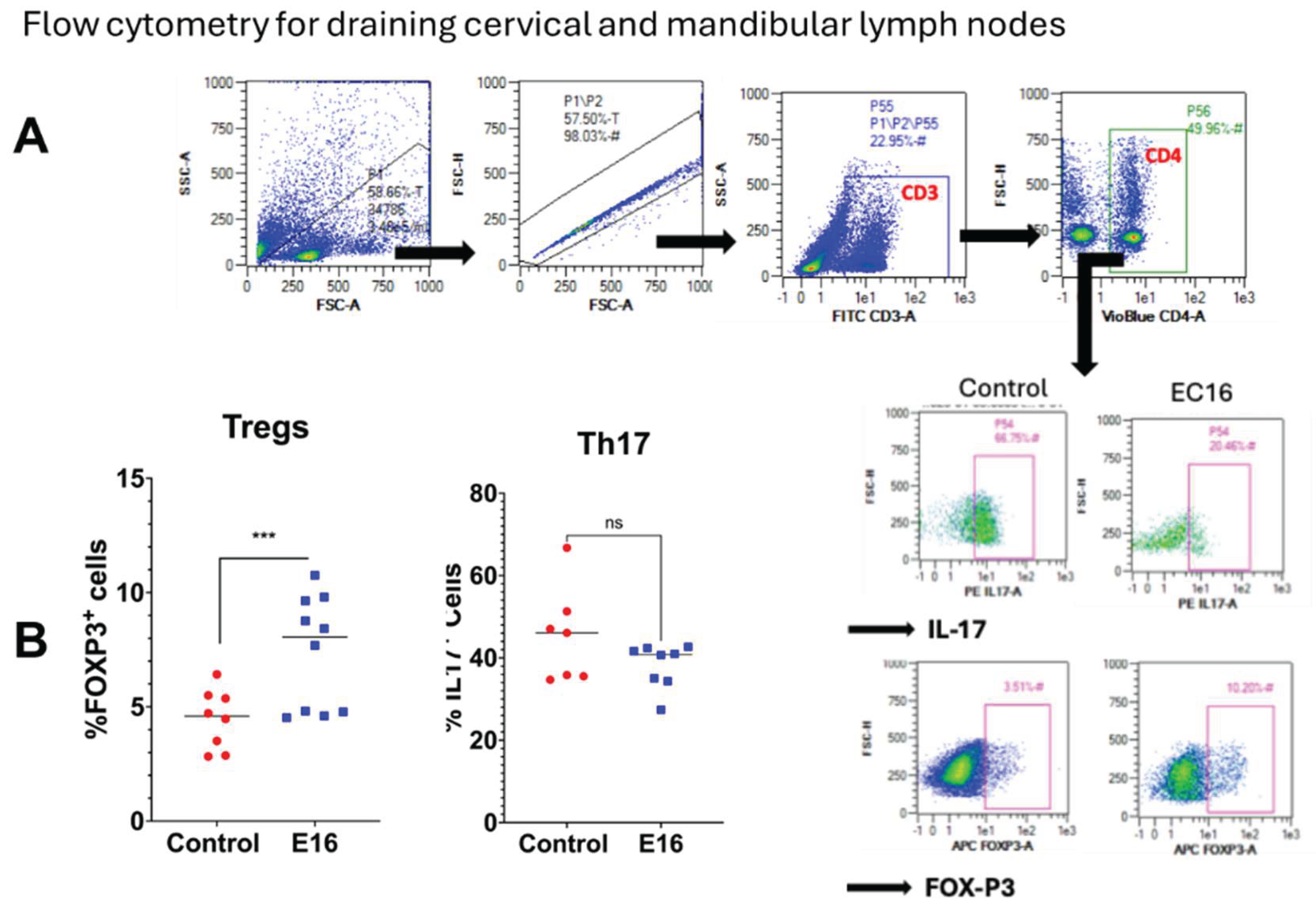 Preprints 205887 g004