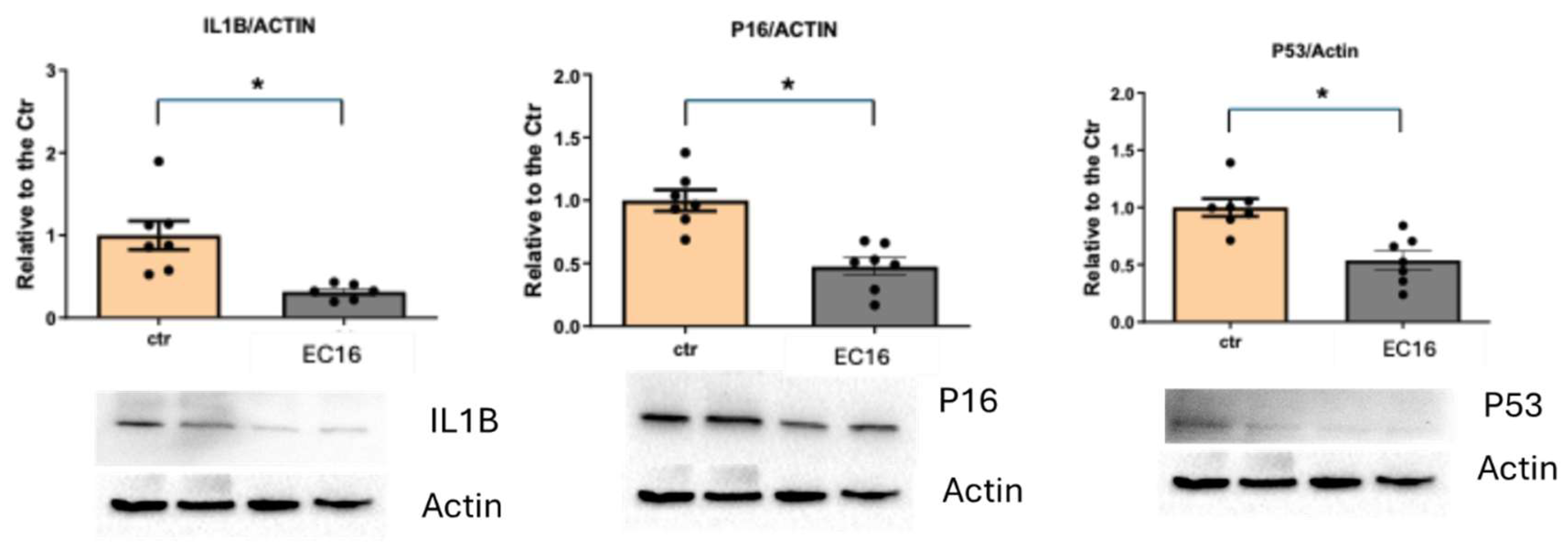 Preprints 205887 g005