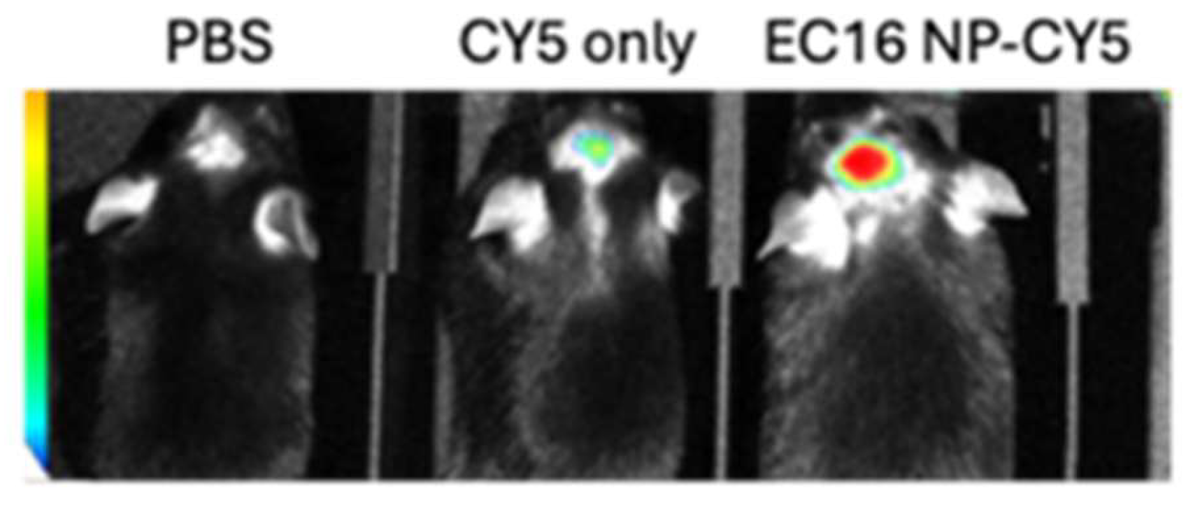 Preprints 205887 g006