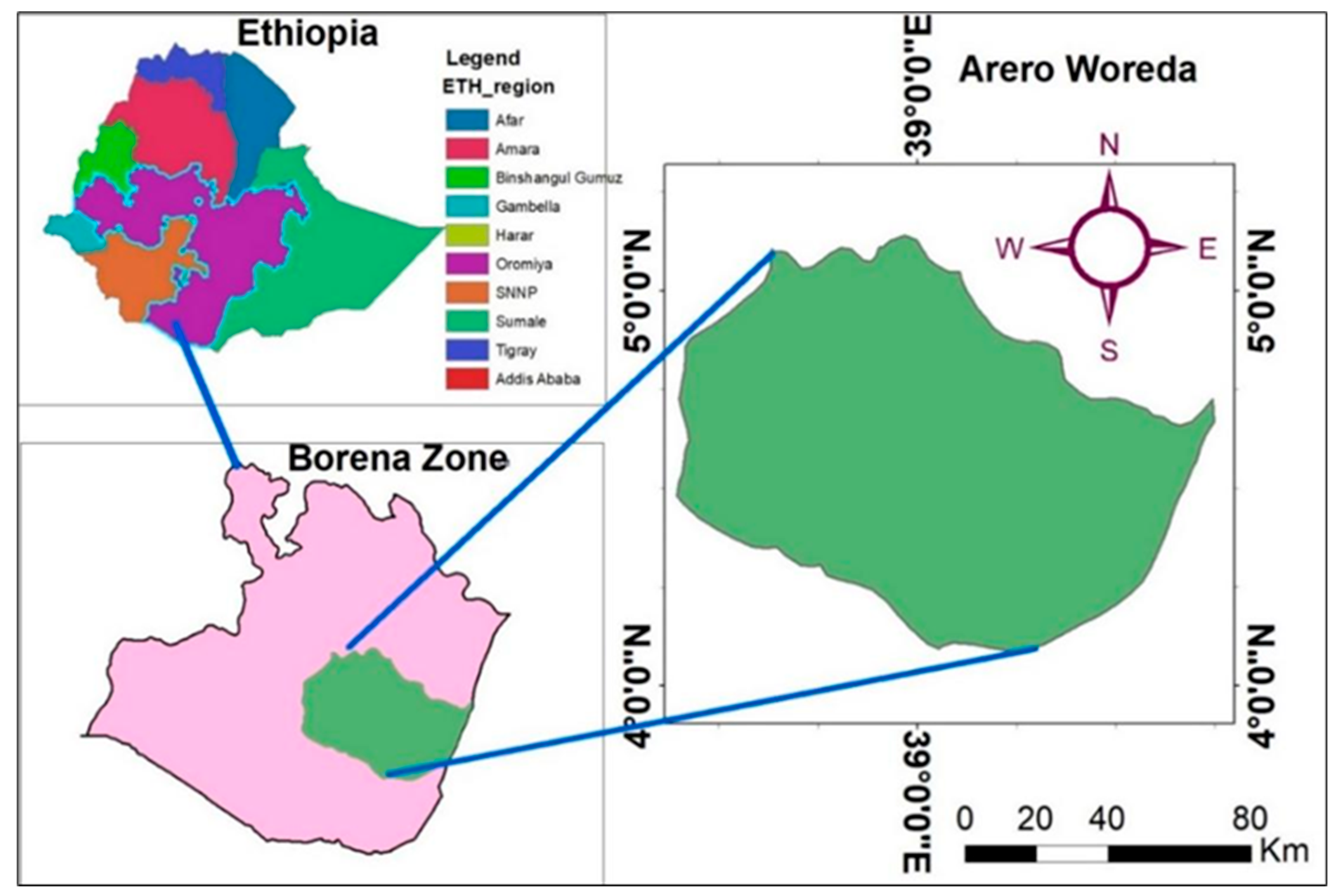 Preprints 186193 g001