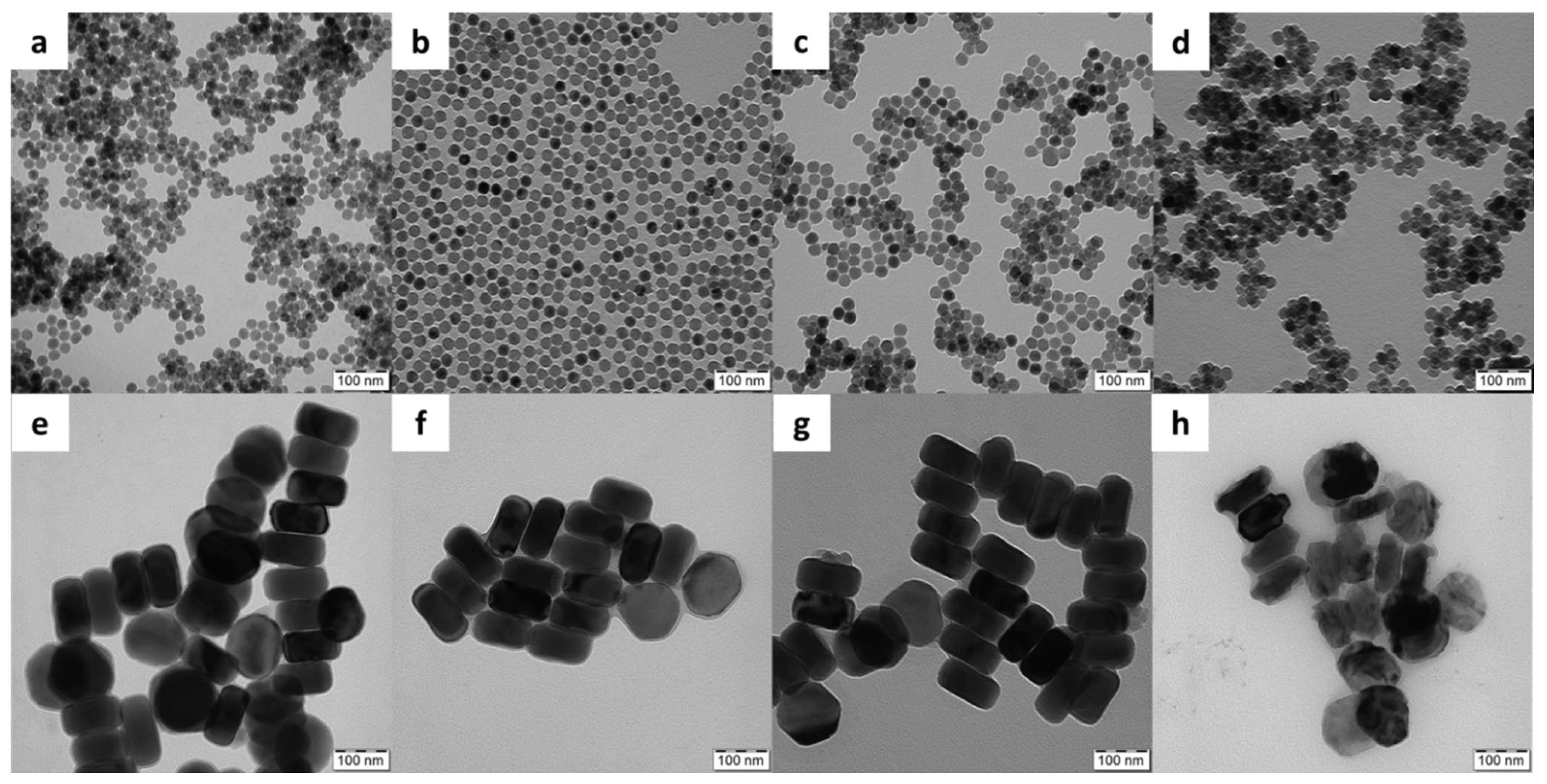 Preprints 101585 g001