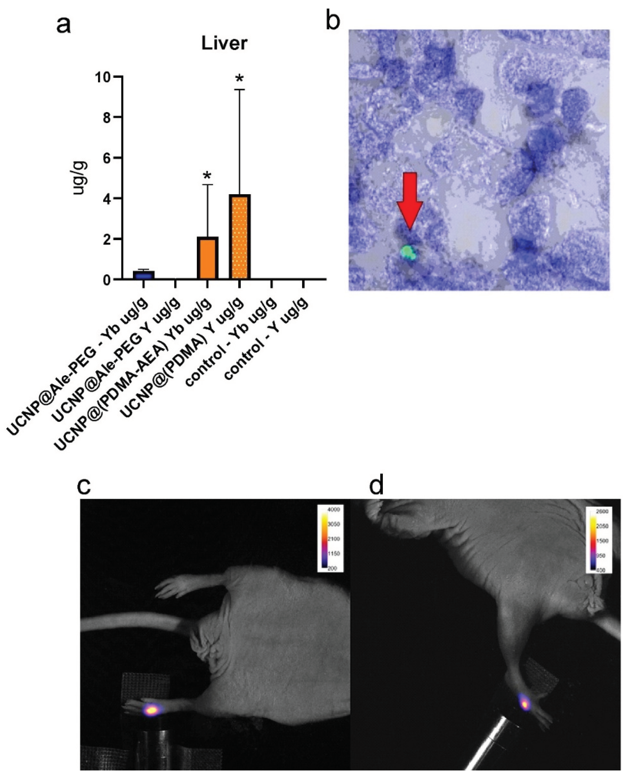 Preprints 101585 g006