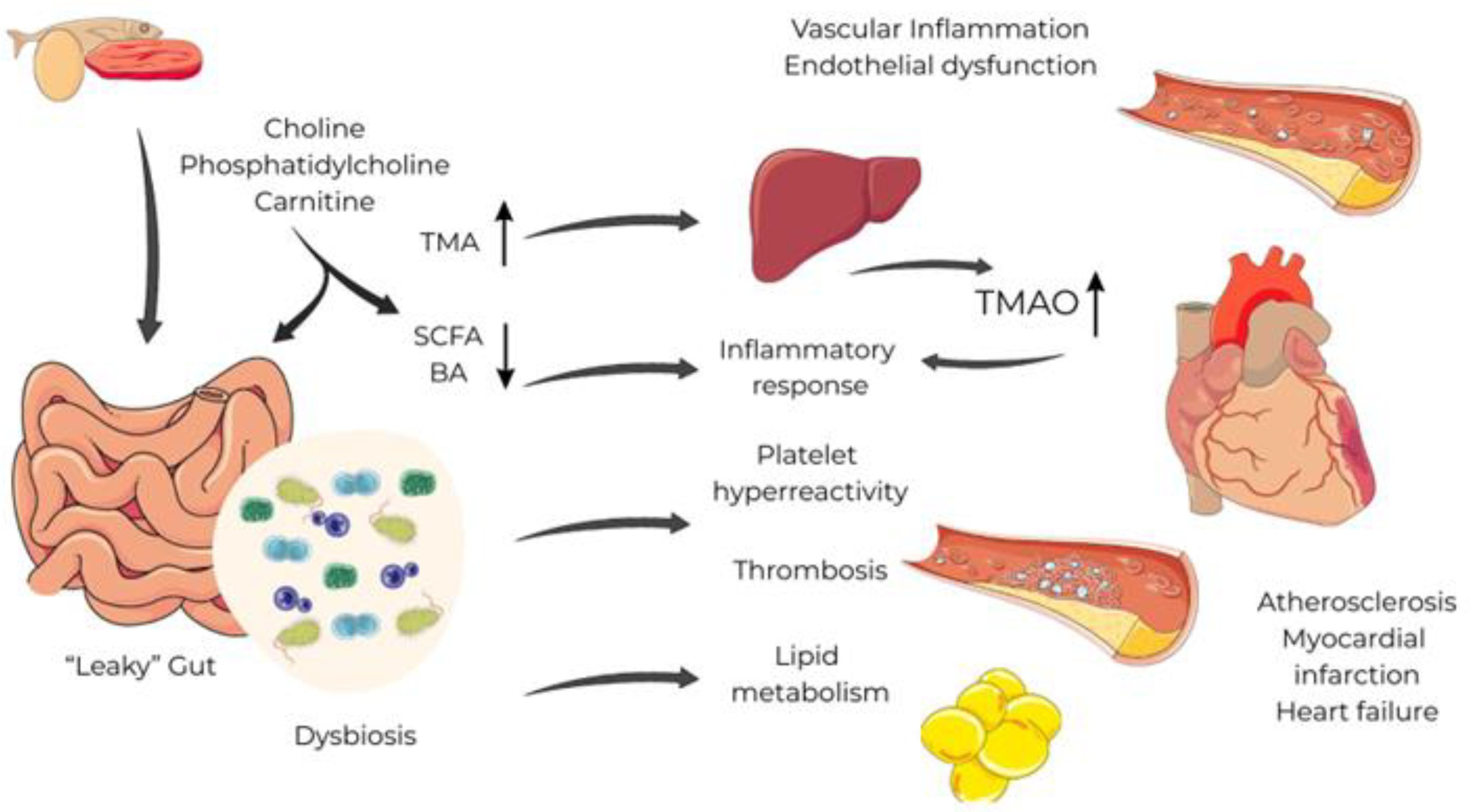 Preprints 175817 g001