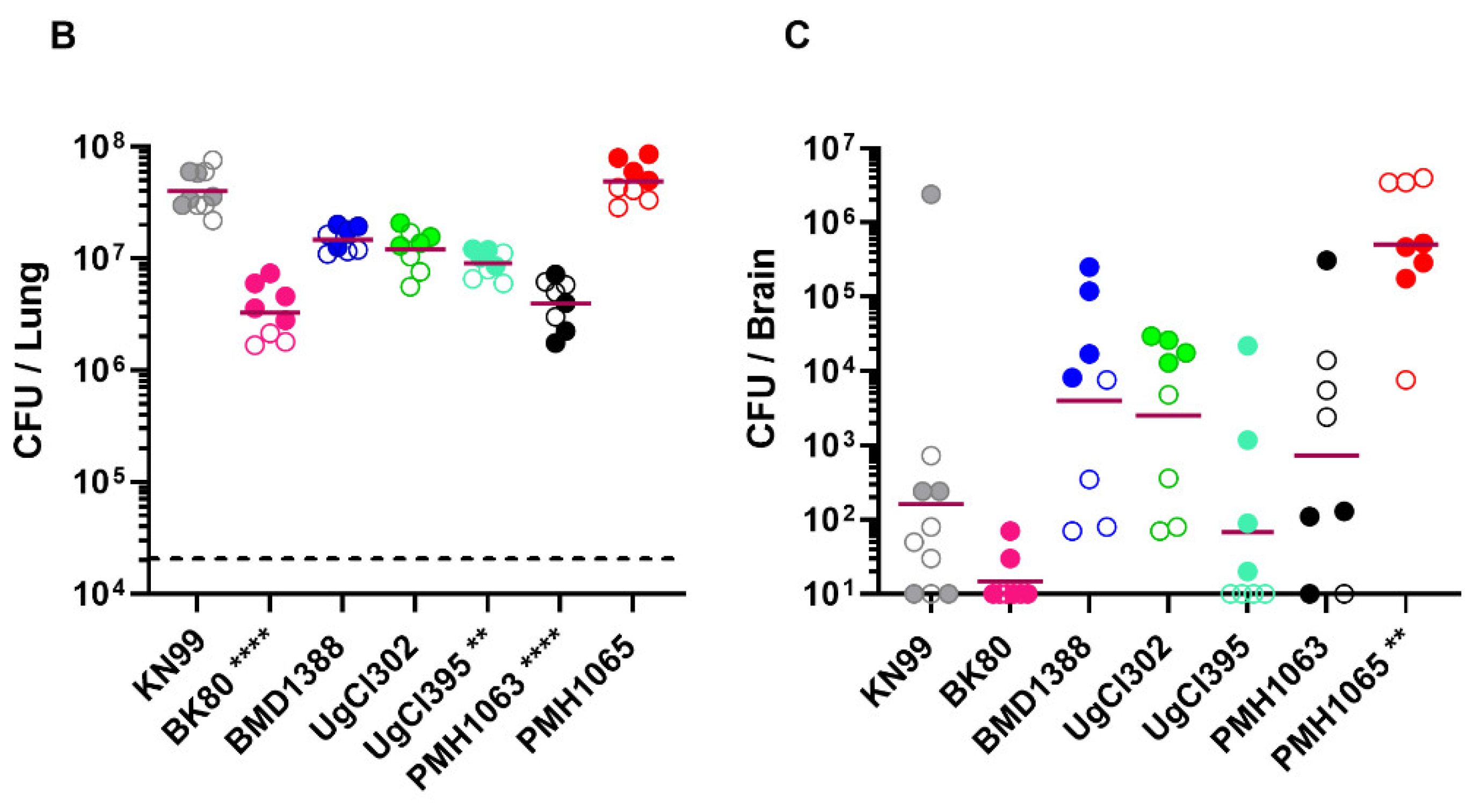 Preprints 178836 g001b