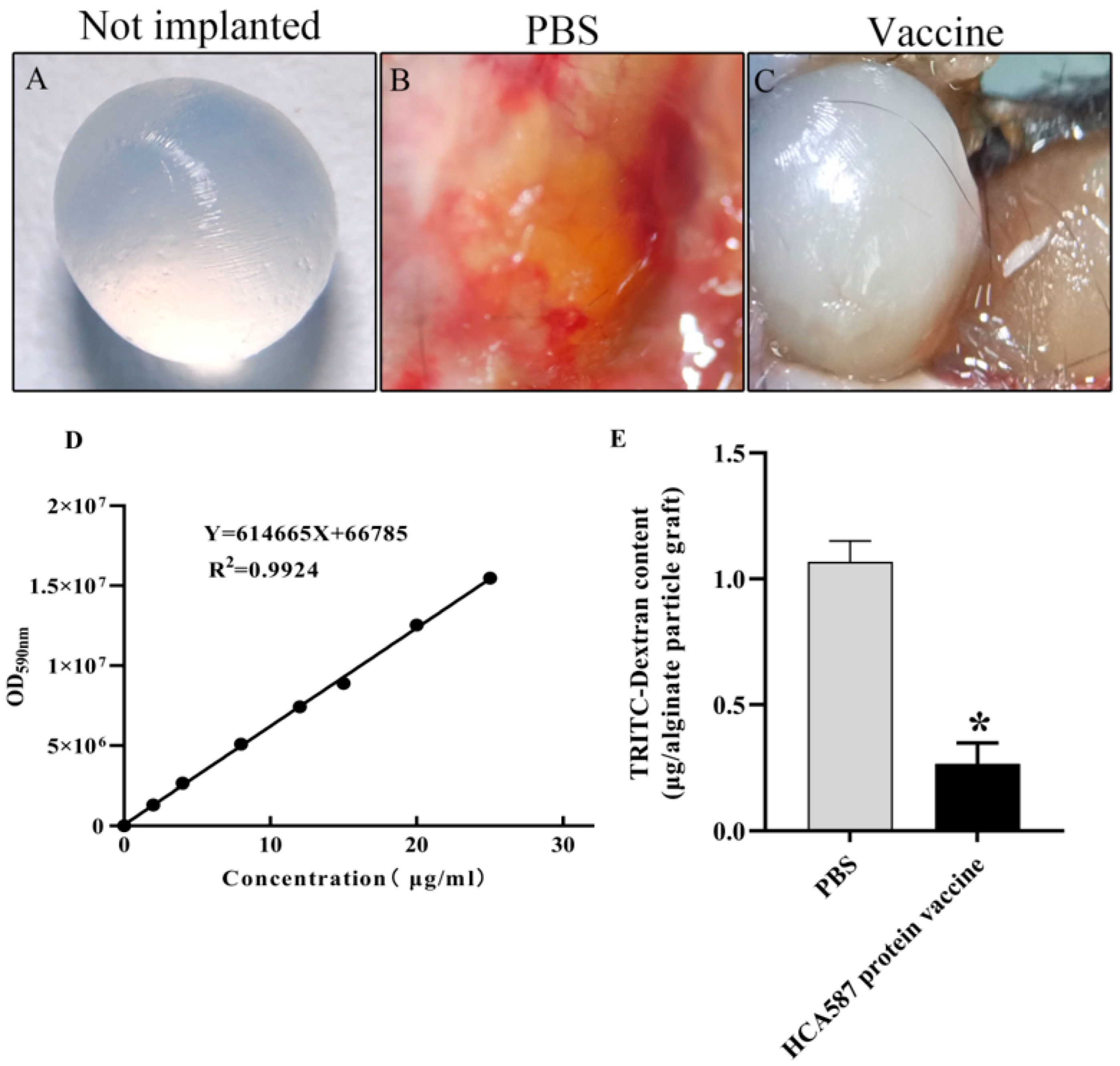 Preprints 143720 g002