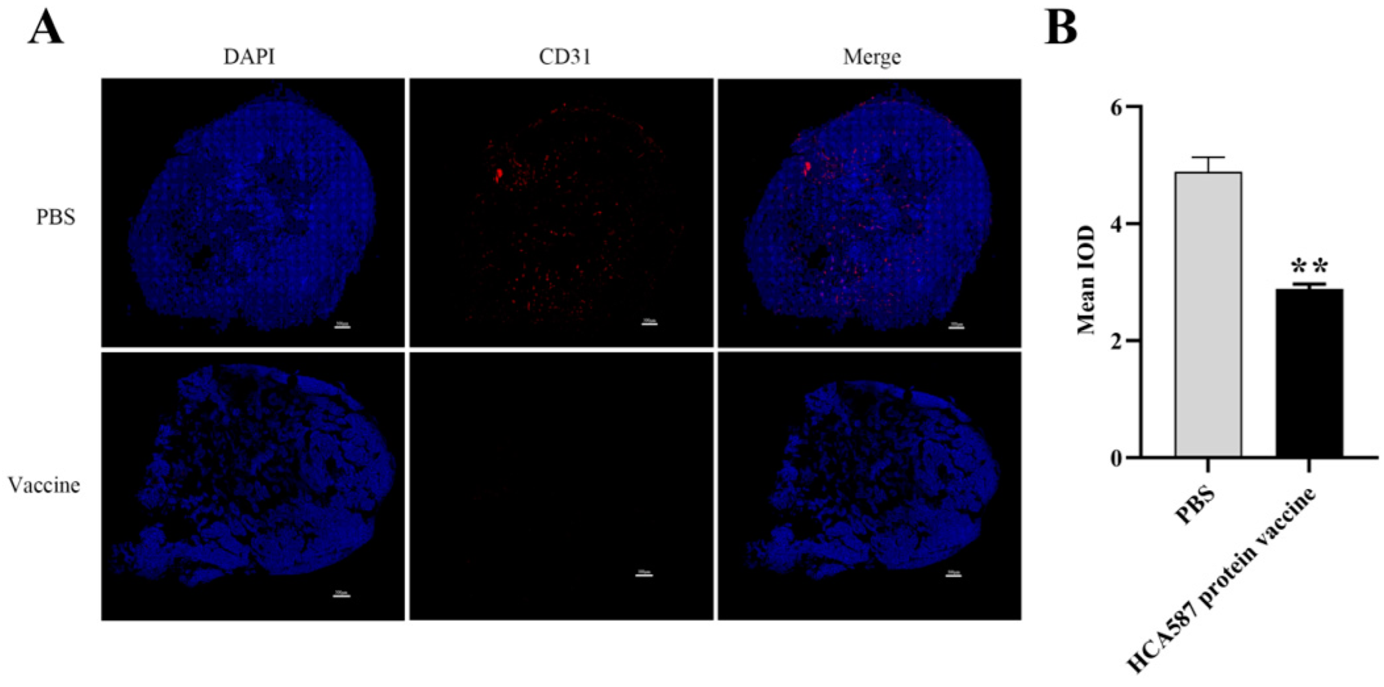 Preprints 143720 g004