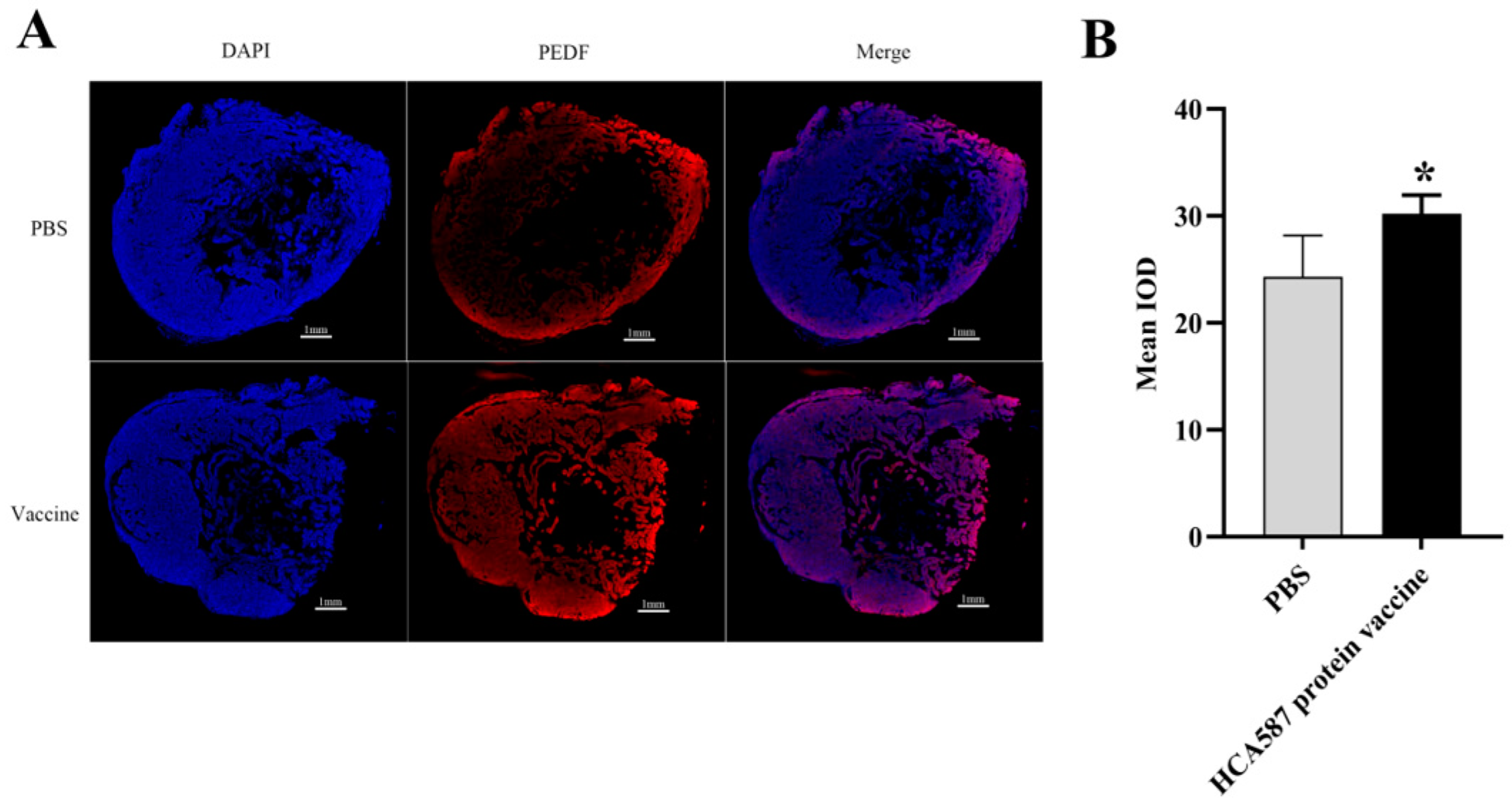 Preprints 143720 g006a
