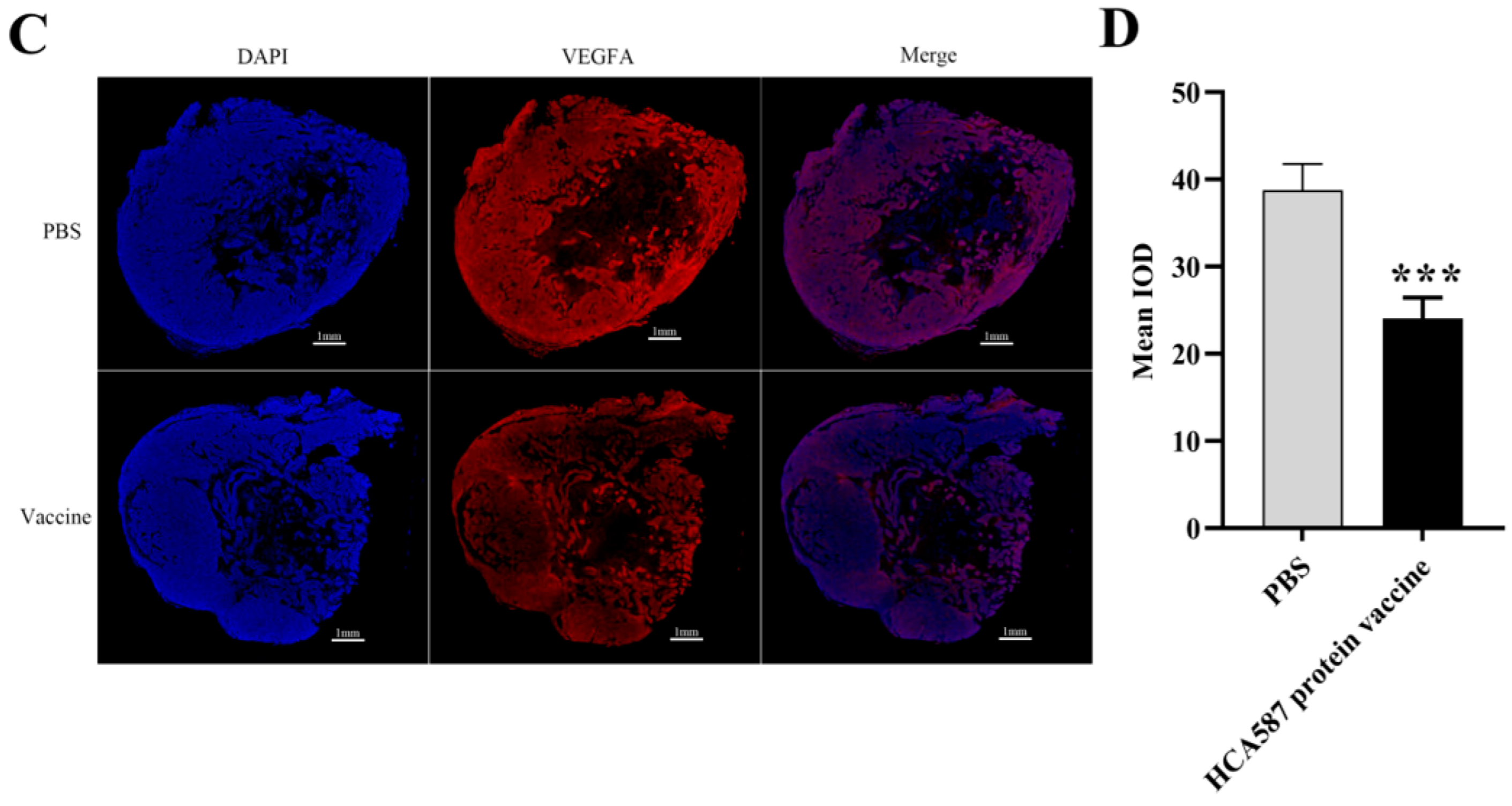 Preprints 143720 g006b