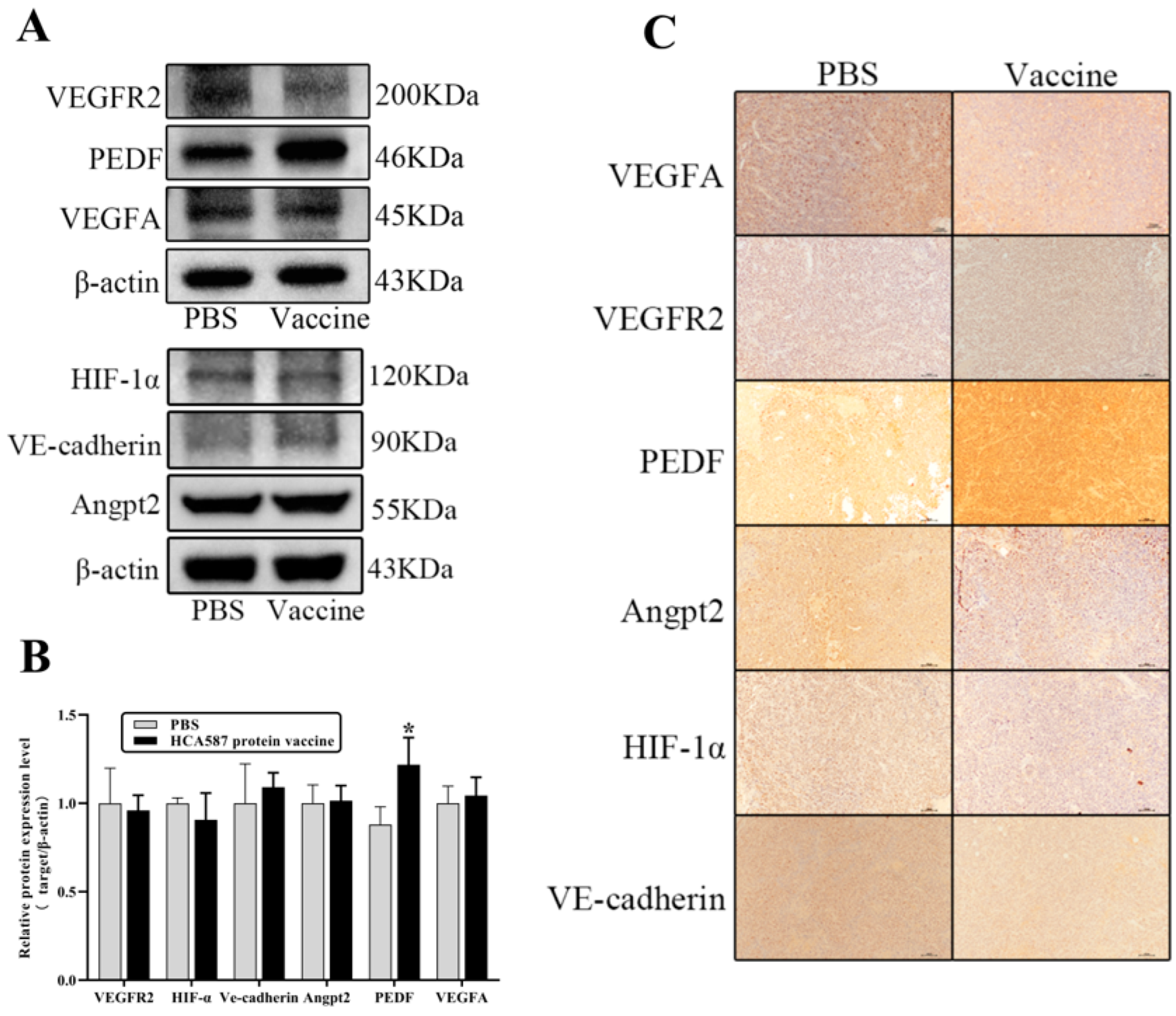 Preprints 143720 g007
