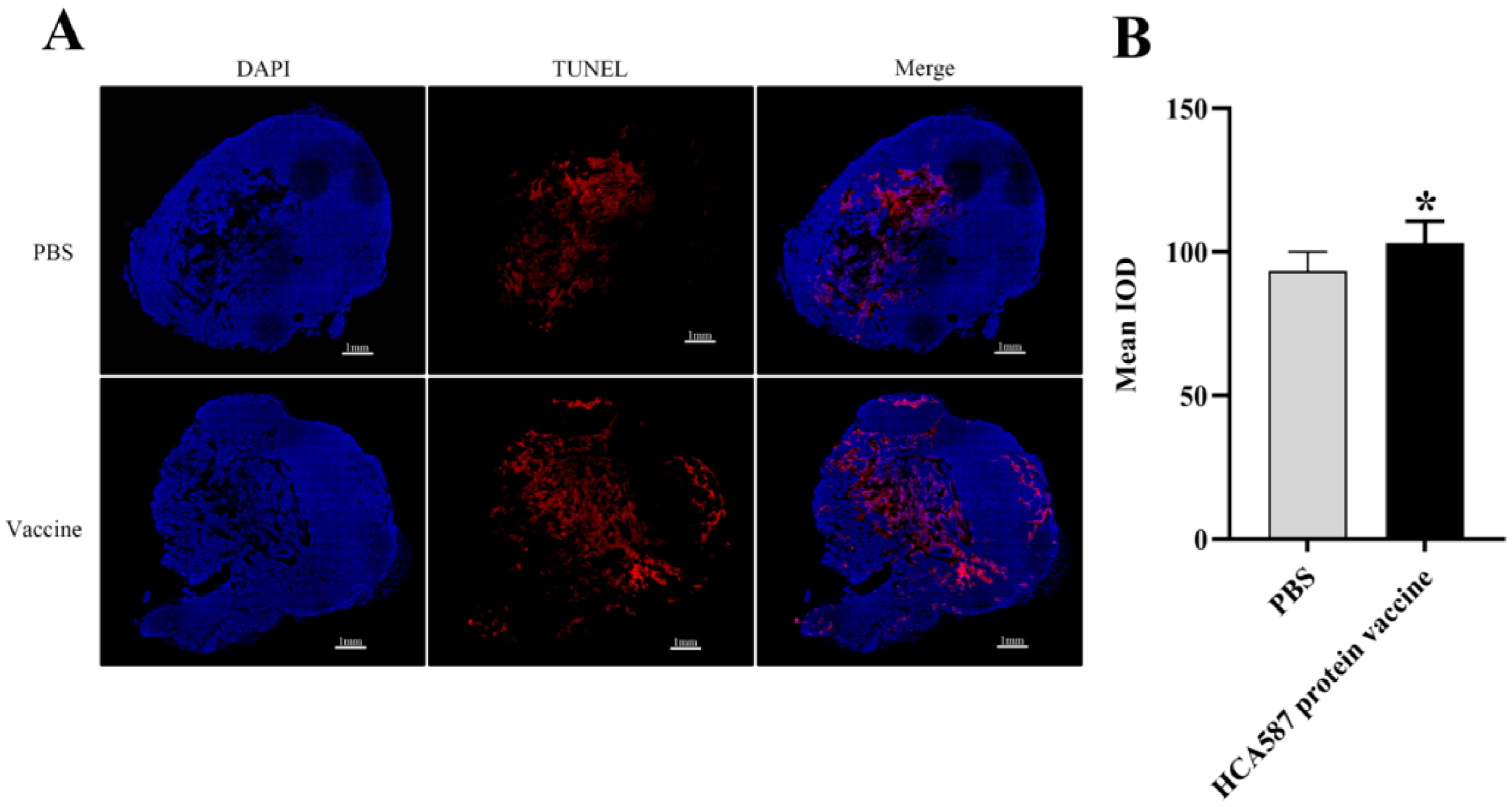 Preprints 143720 g008