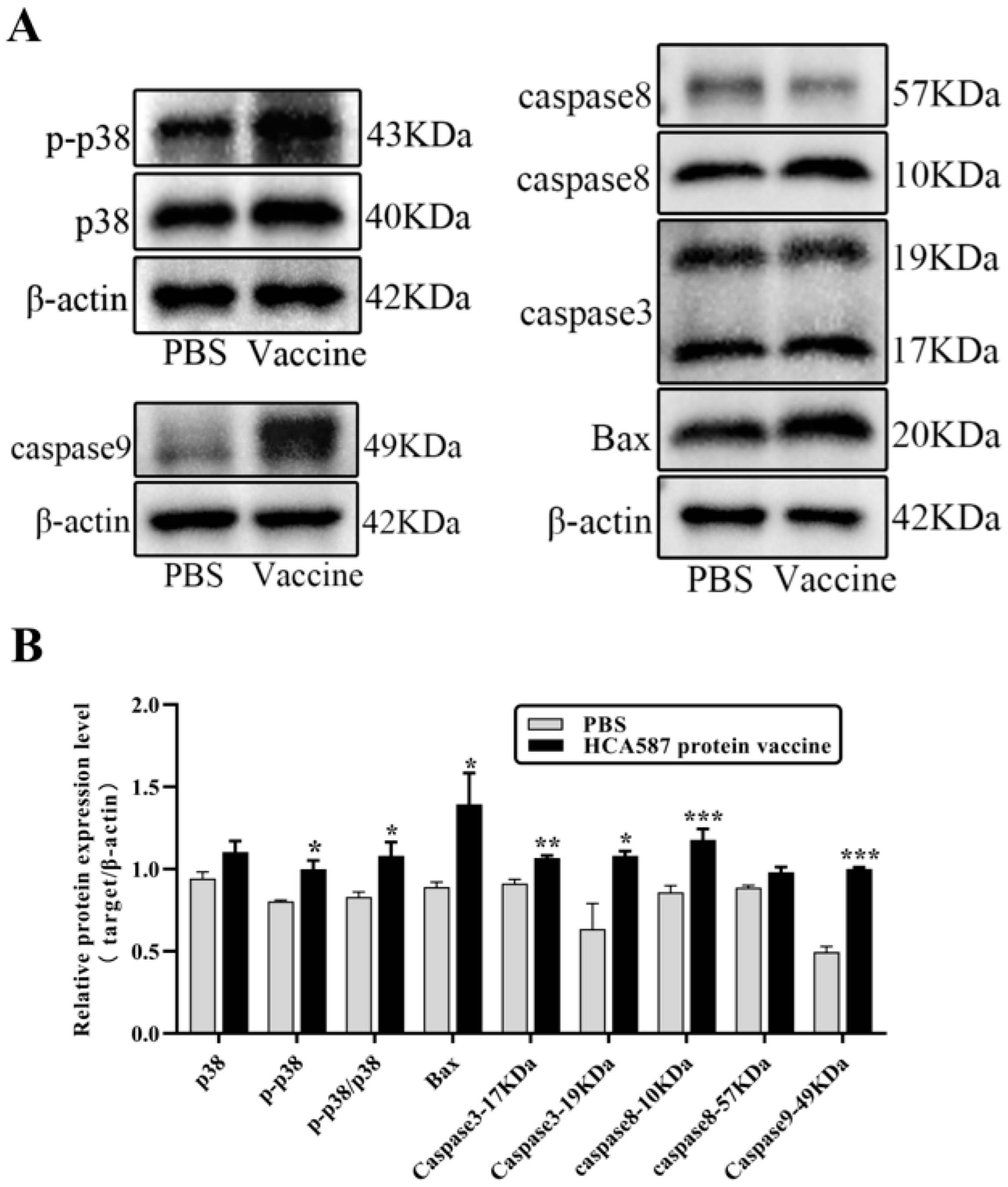 Preprints 143720 g009