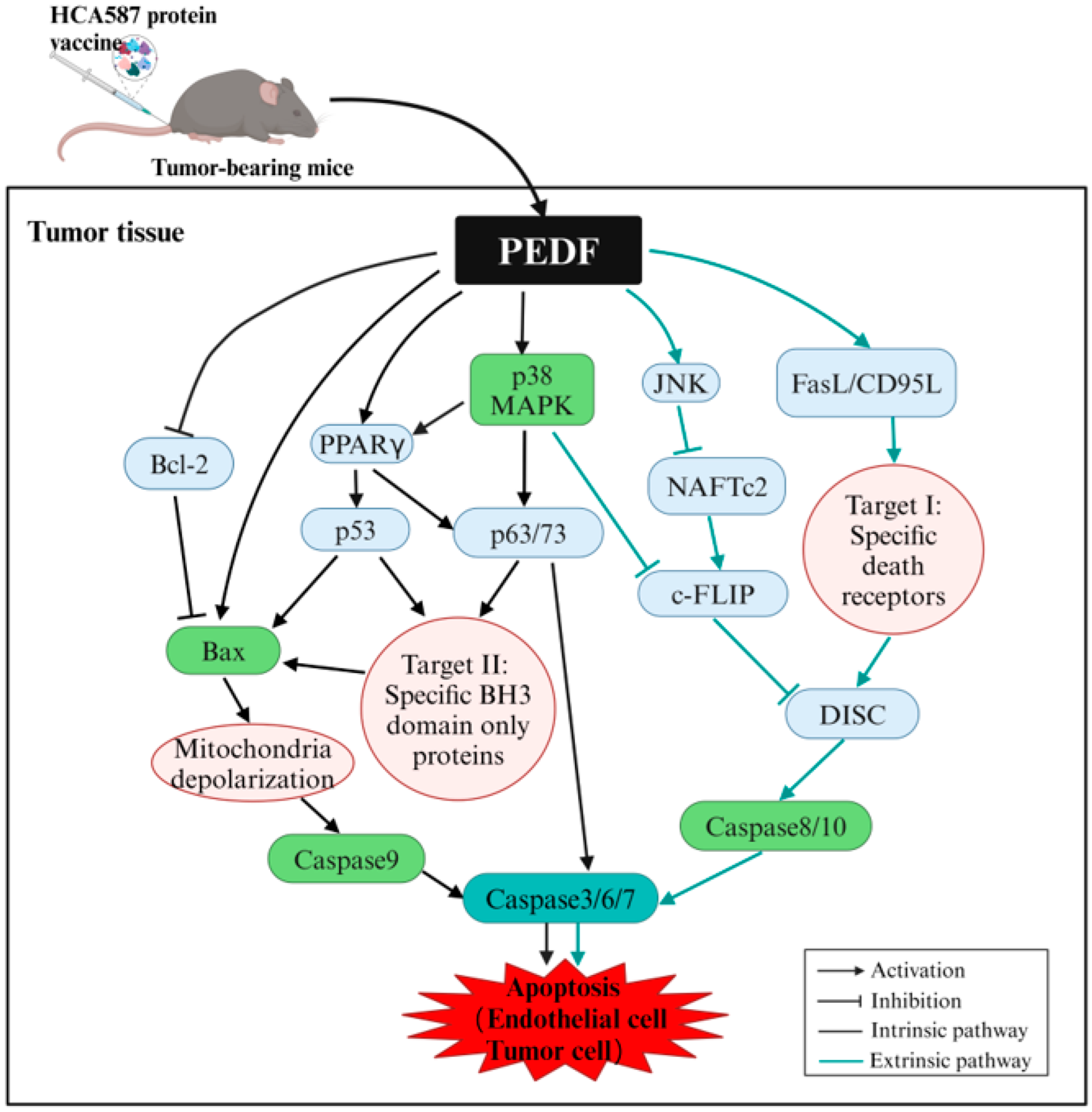 Preprints 143720 g010