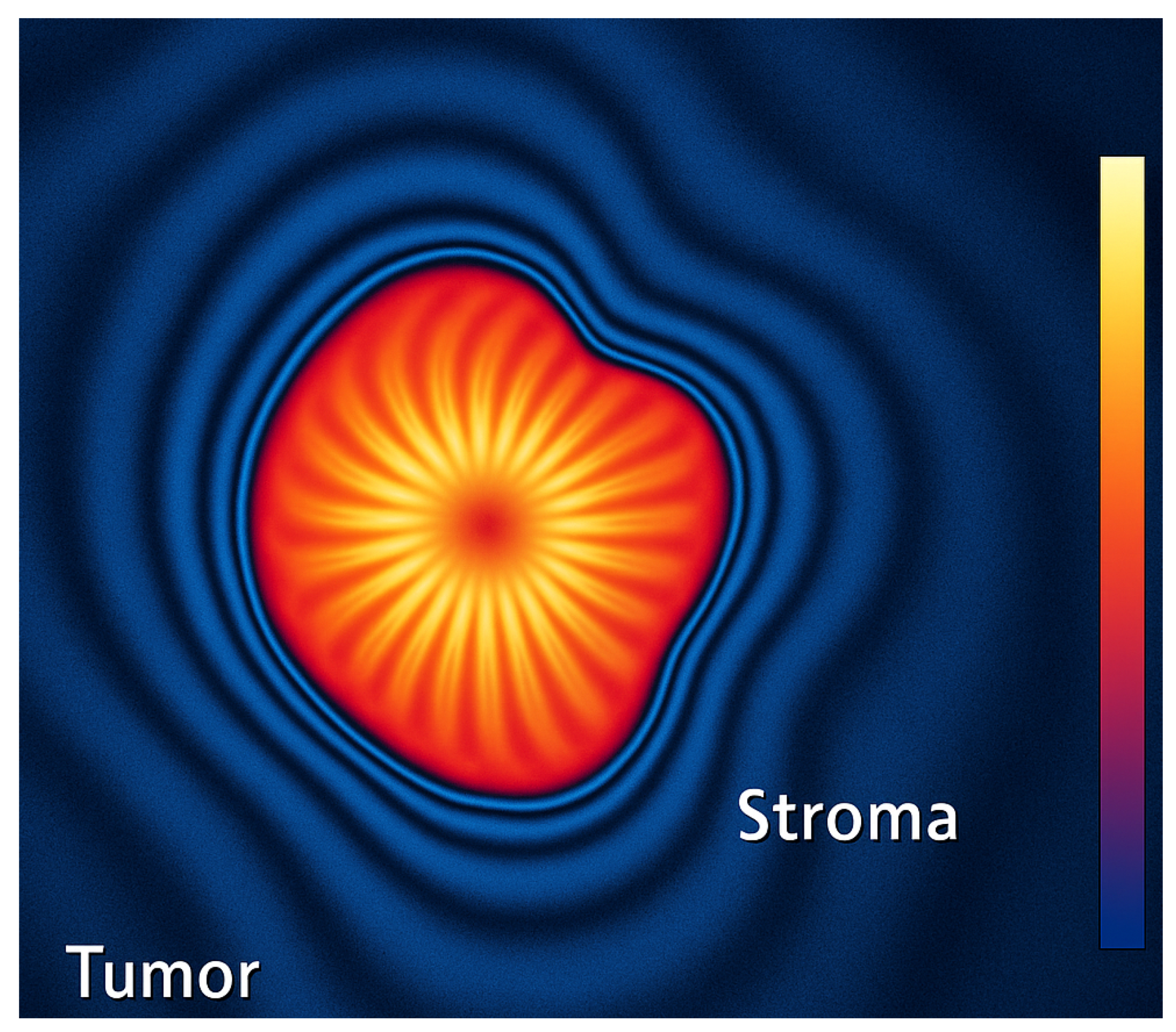 Preprints 167428 g004