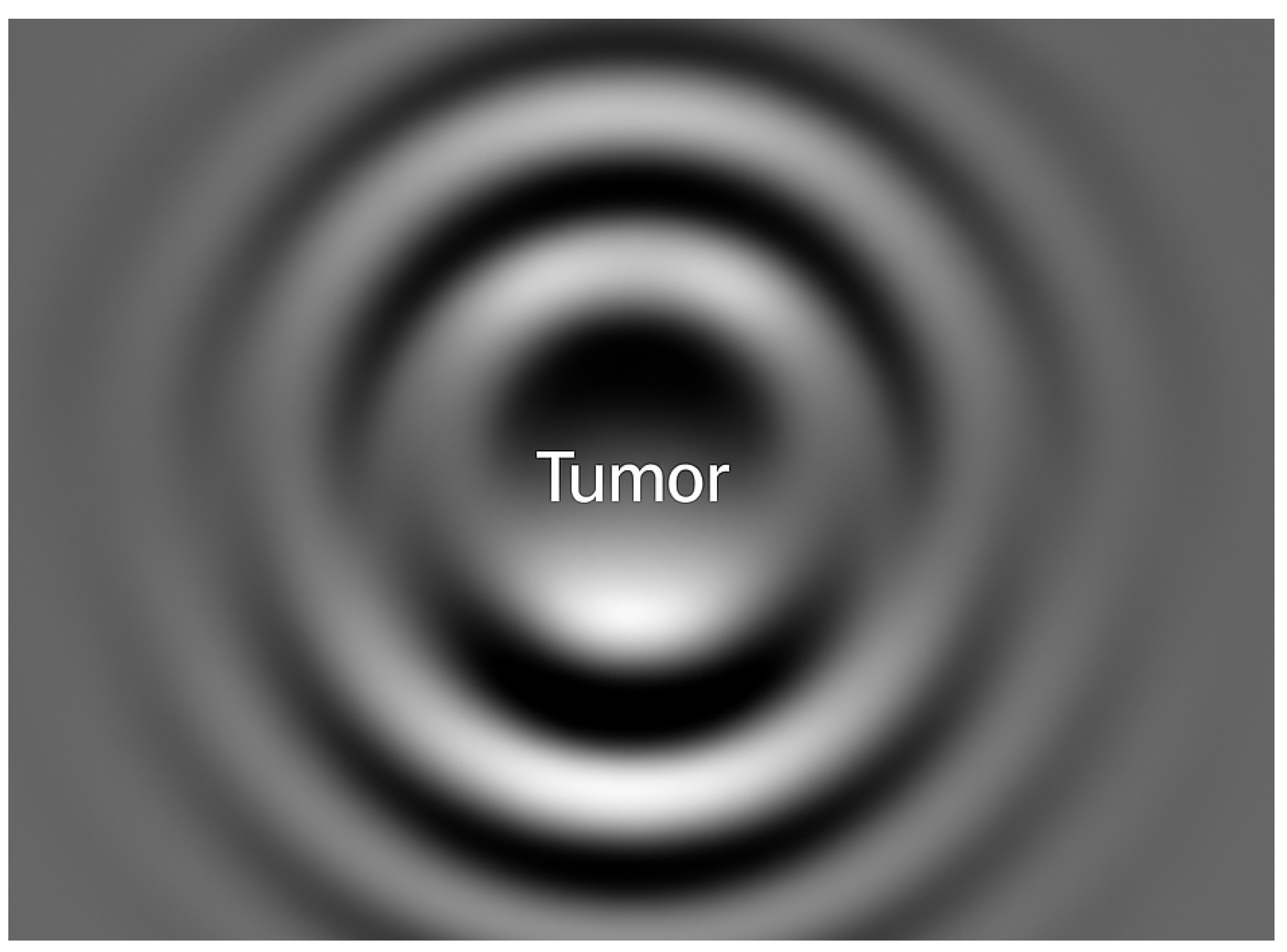 Preprints 167428 g011