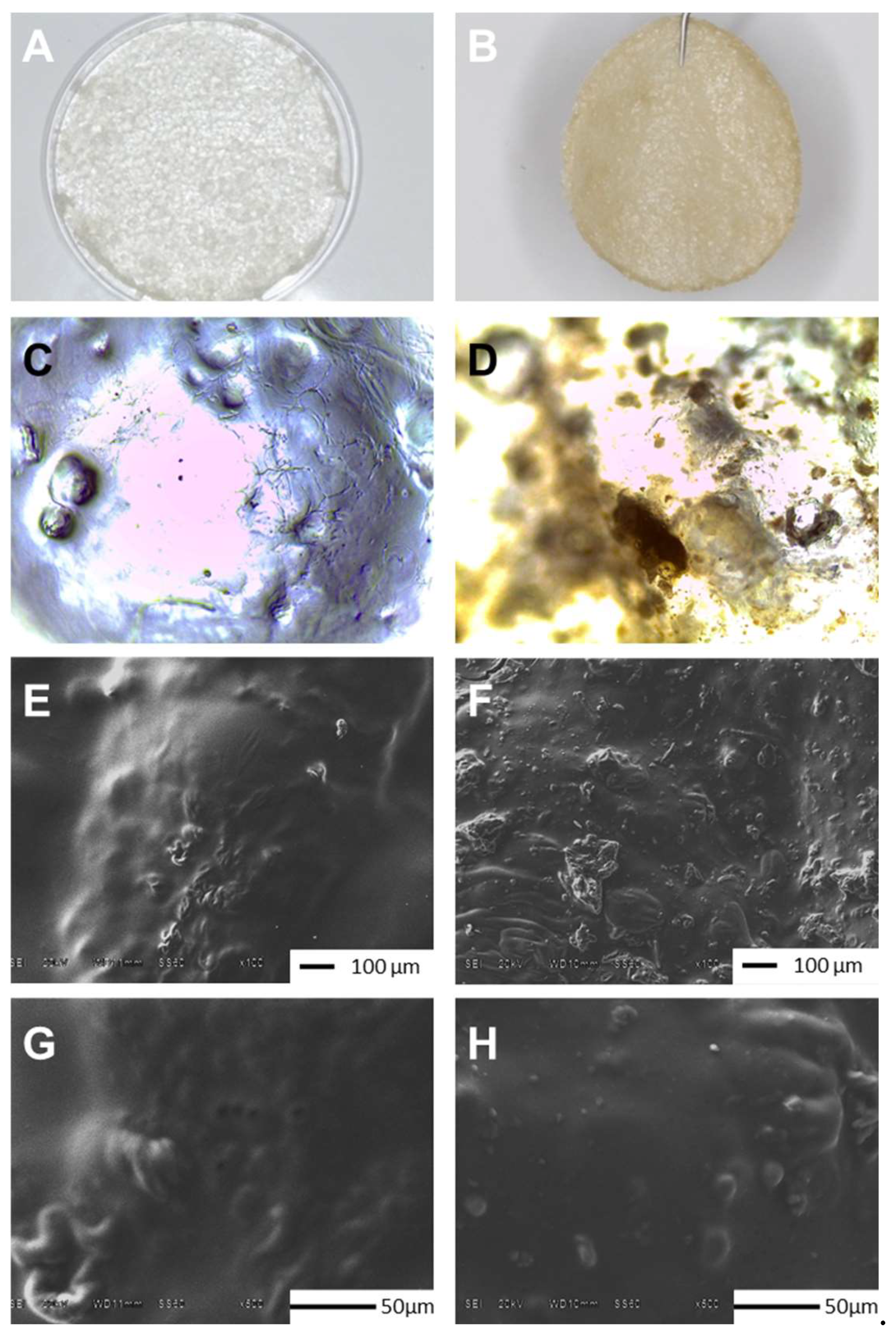 Preprints 150256 g001