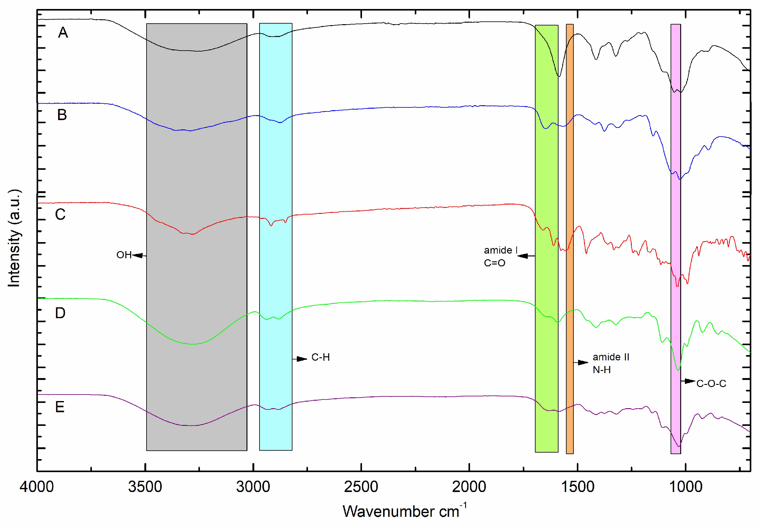 Preprints 150256 g002