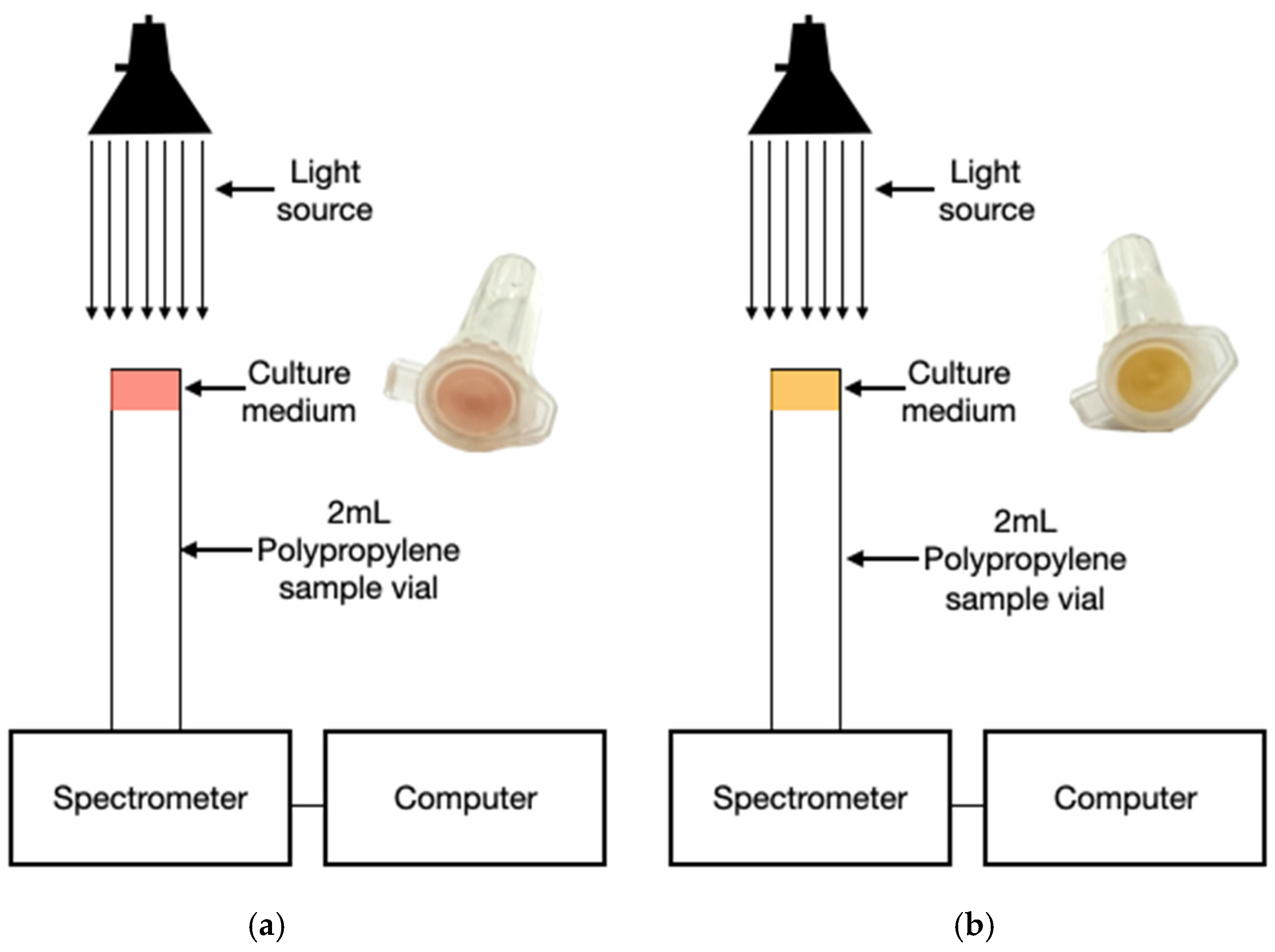 Preprints 163269 g002