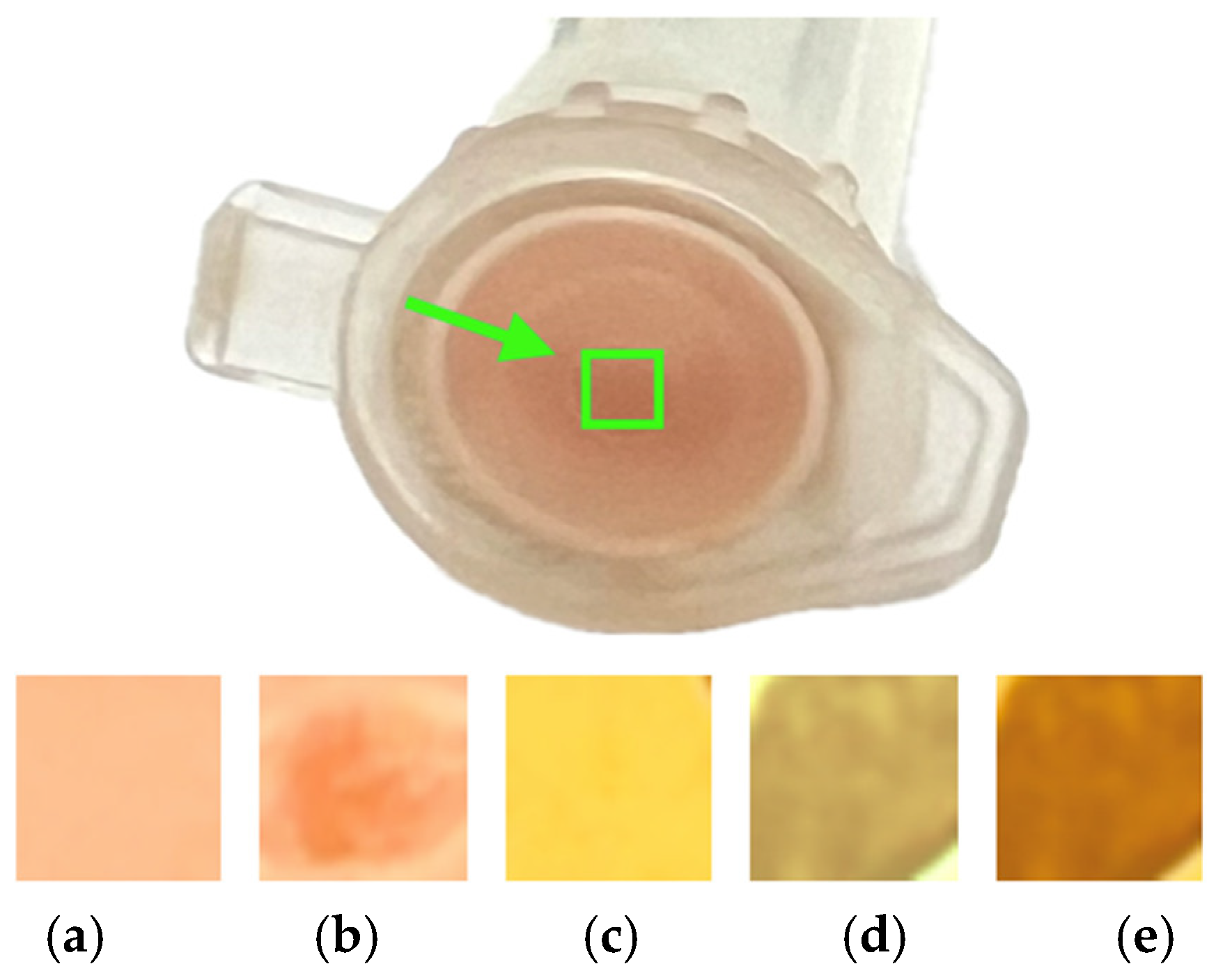 Preprints 163269 g006