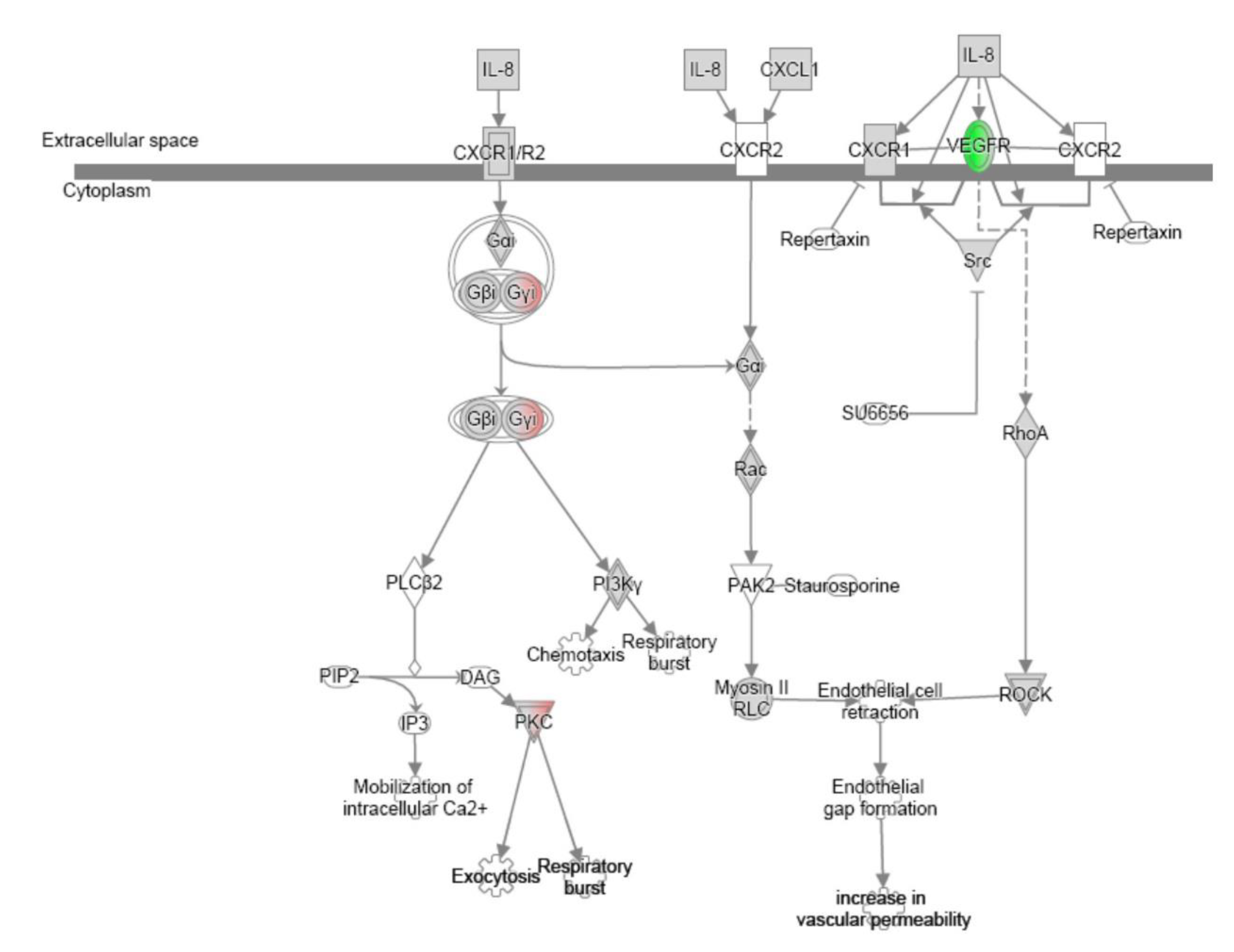 Preprints 161839 g0a1