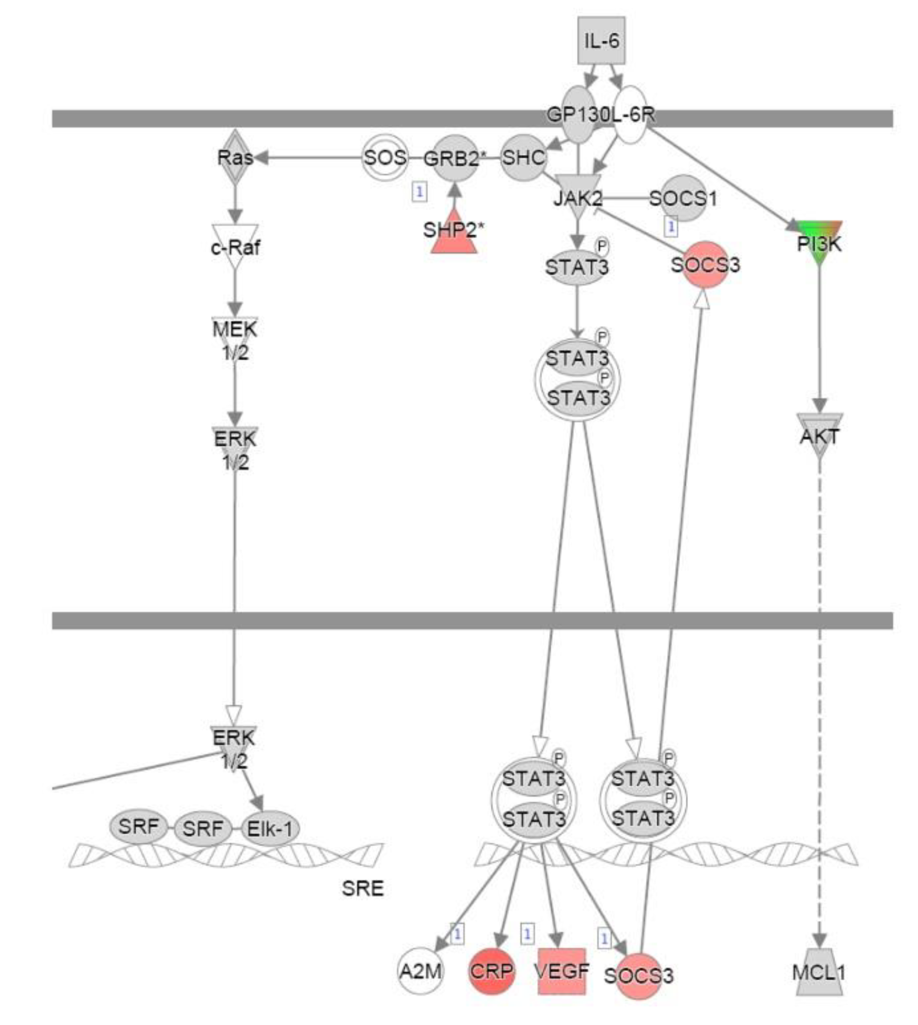Preprints 161839 g0a3