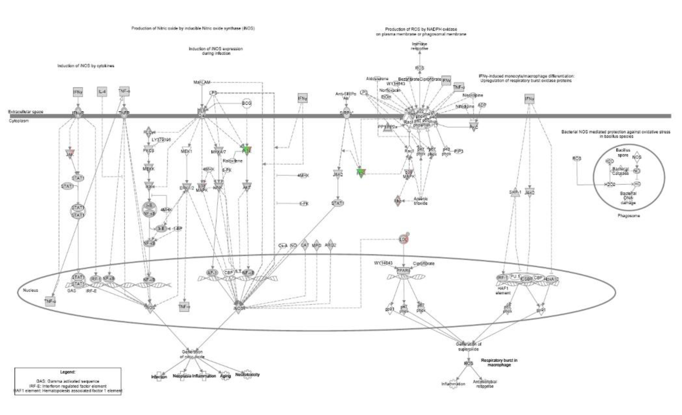 Preprints 161839 g0a4