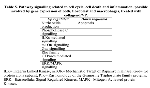 Preprints 161839 i005