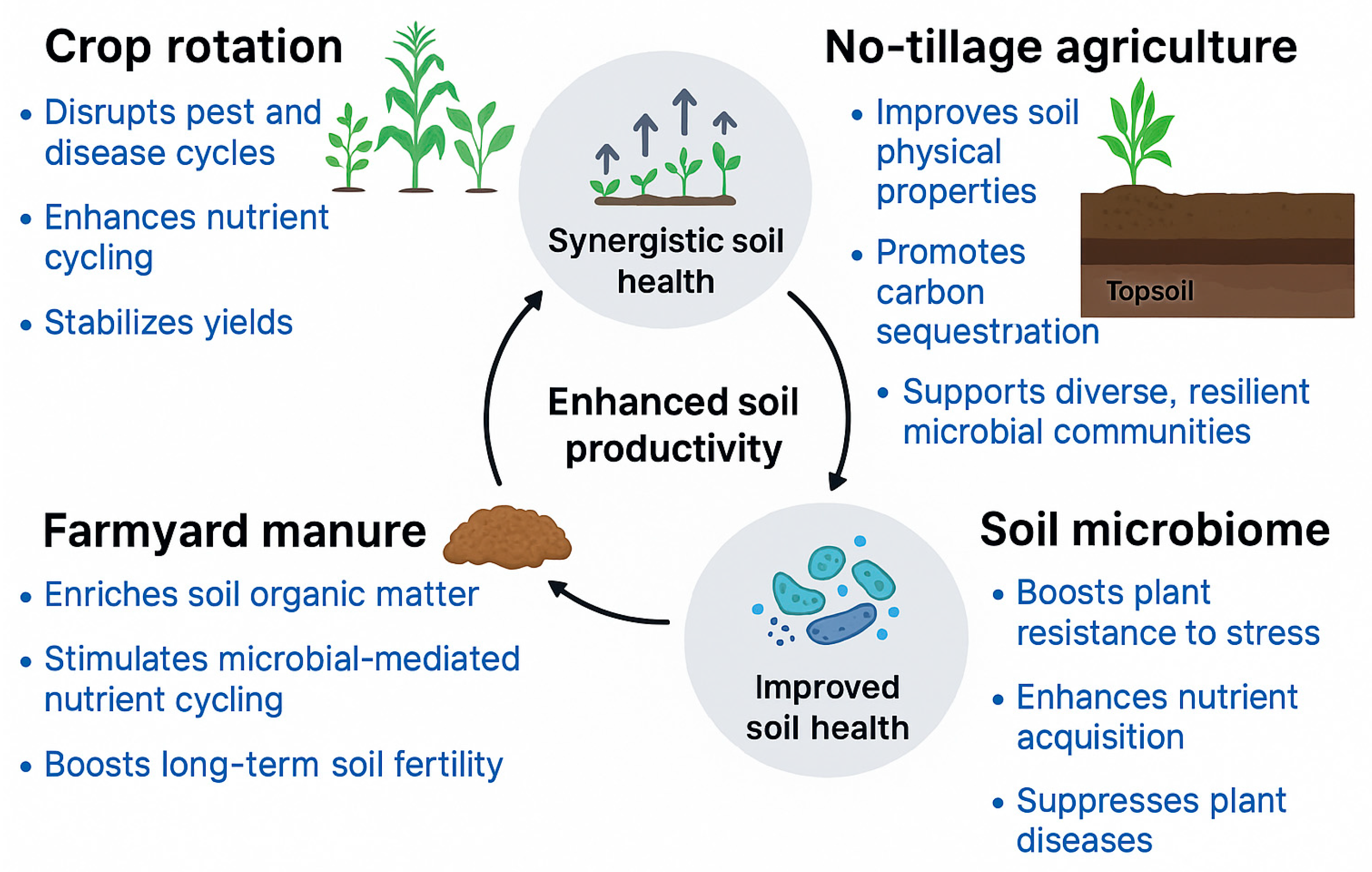 Preprints 165553 g001
