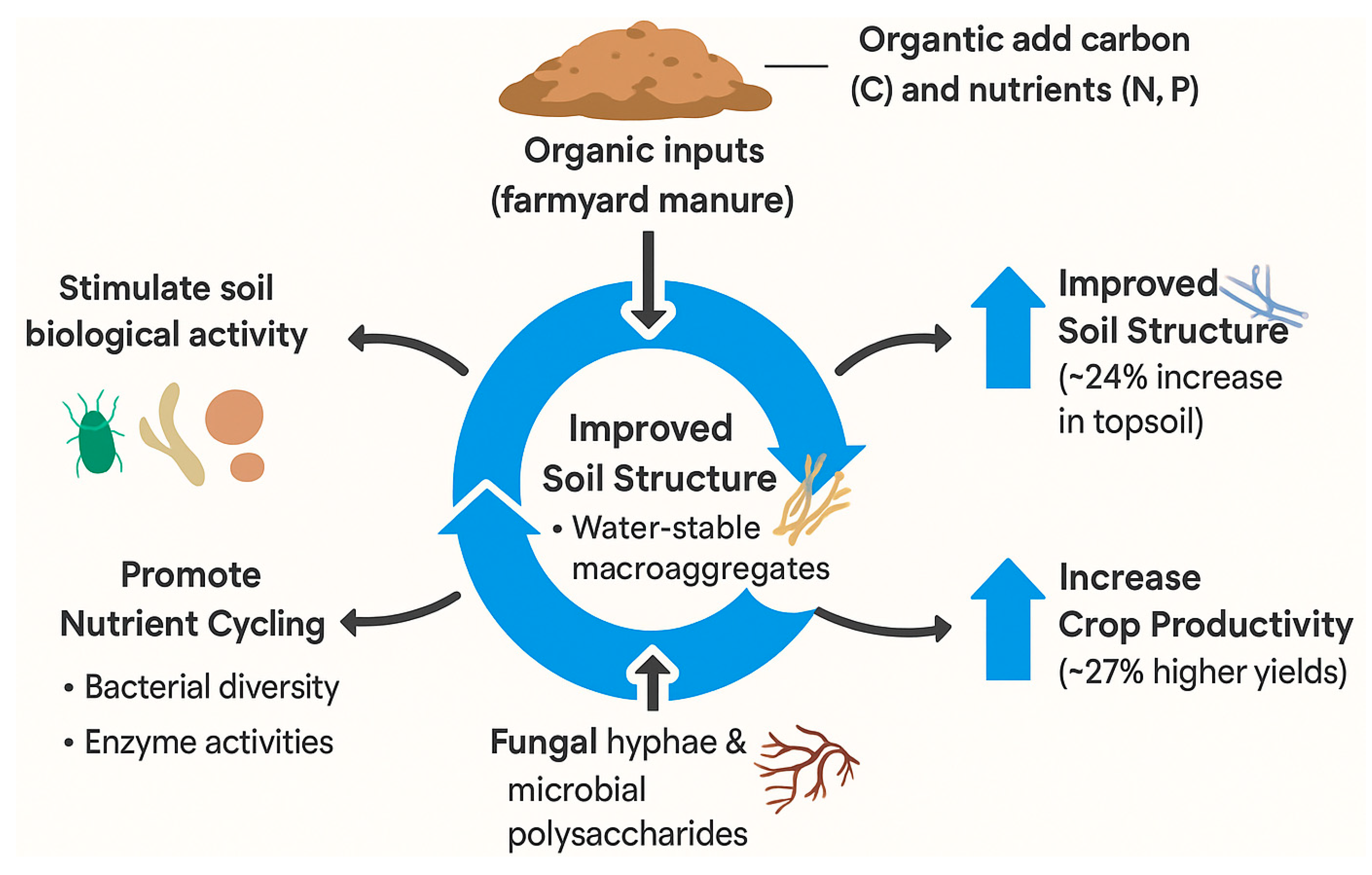 Preprints 165553 g005