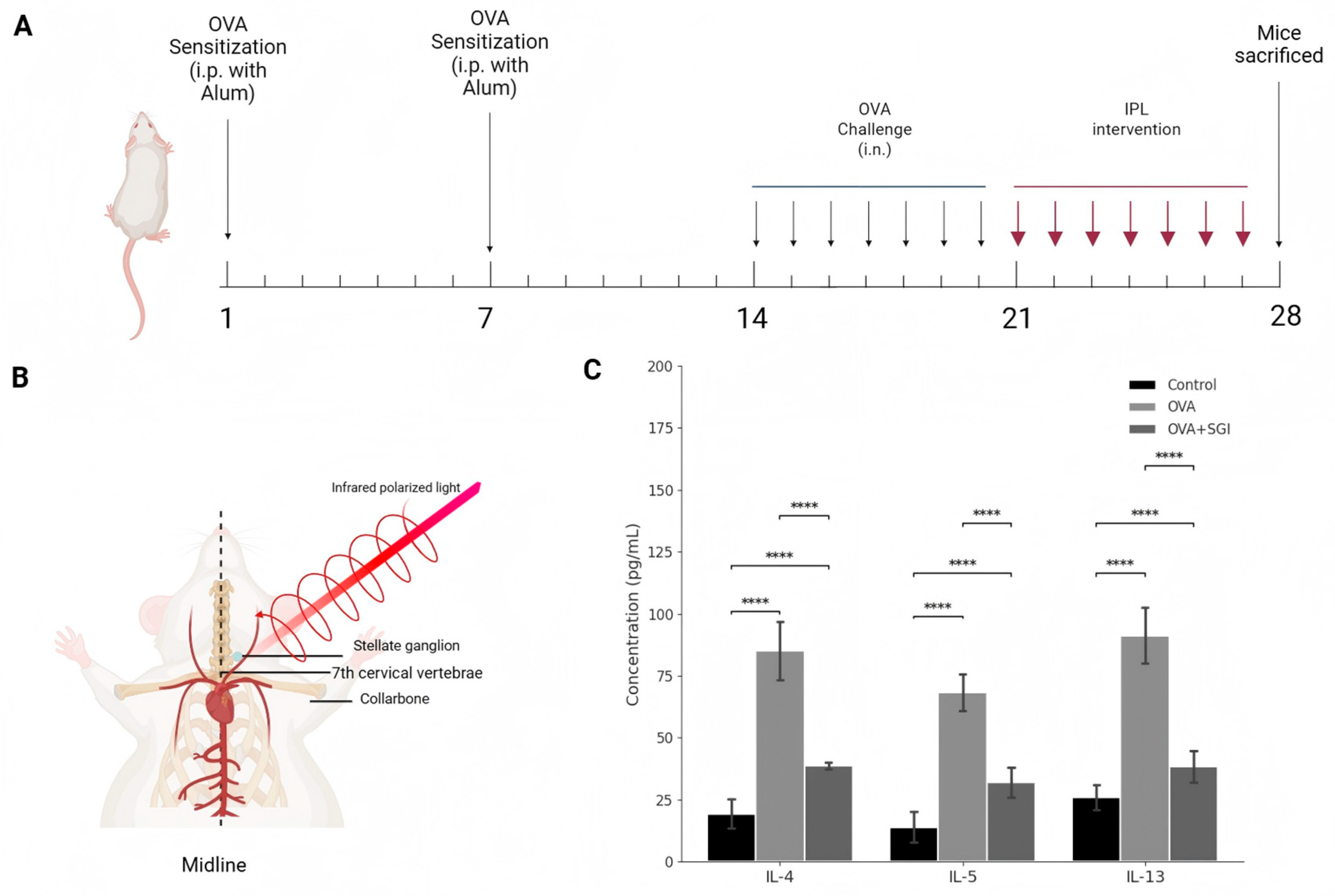 Preprints 165555 g001