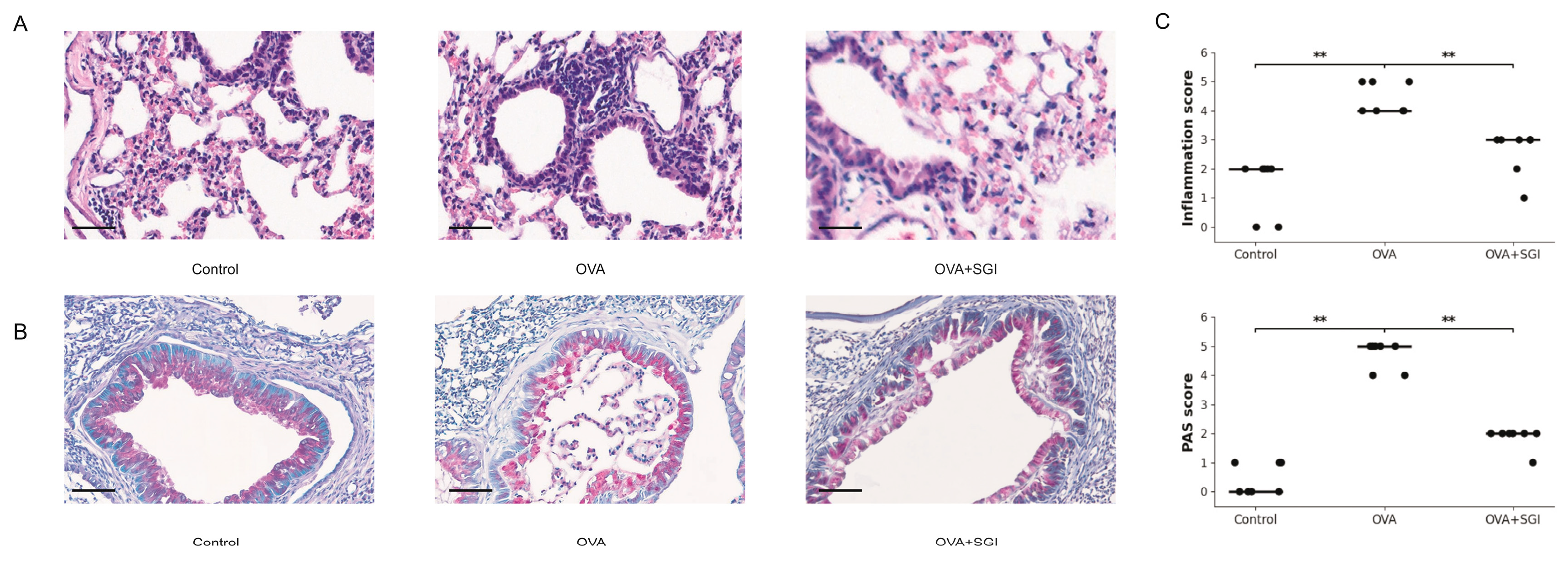 Preprints 165555 g002